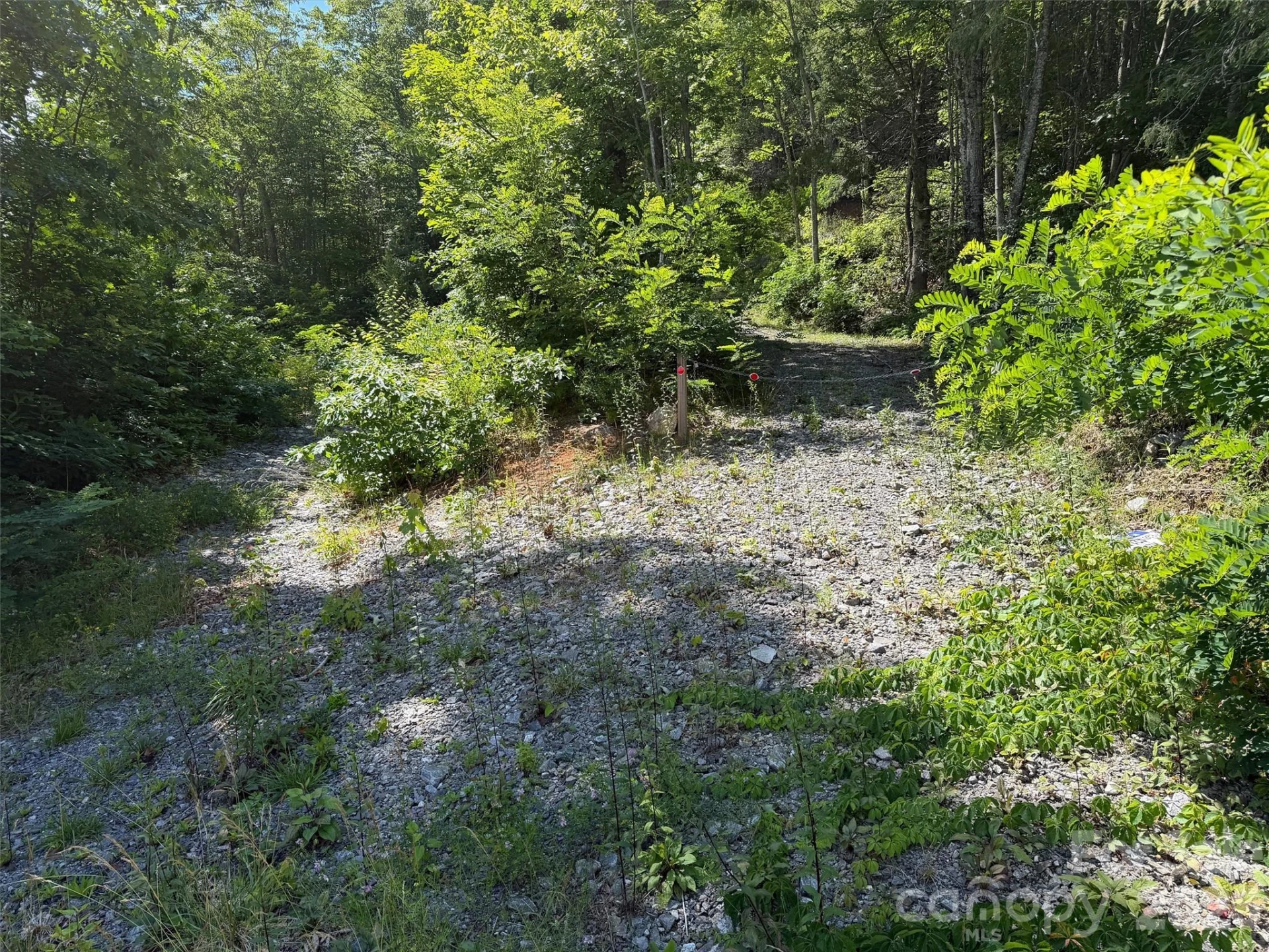 00 Rising Sun Road #338 - Photo 8