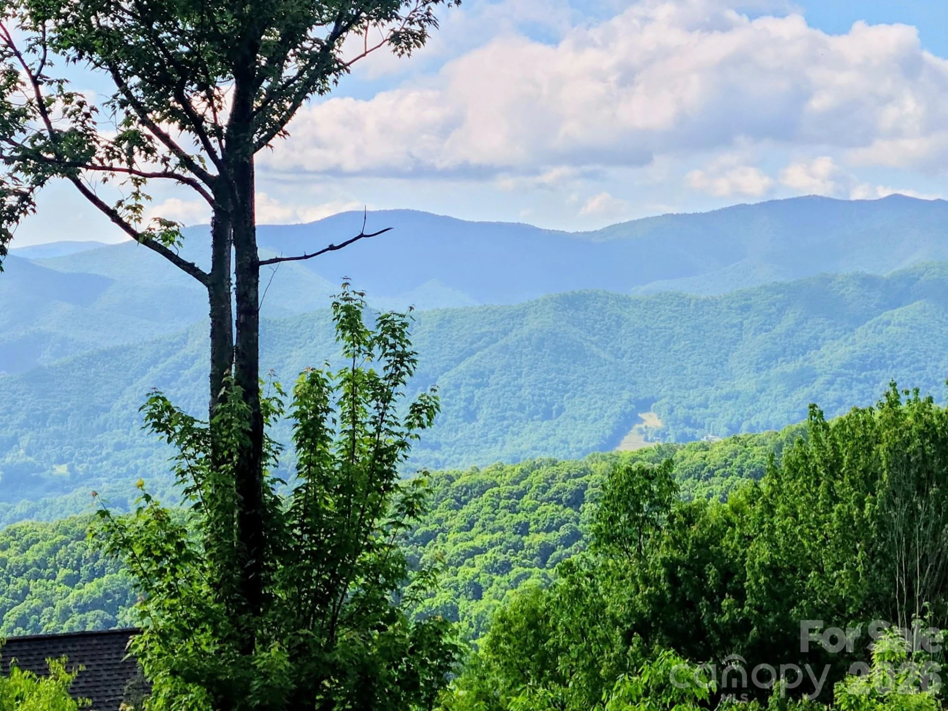 00 Rising Sun Road #338 - Photo 10