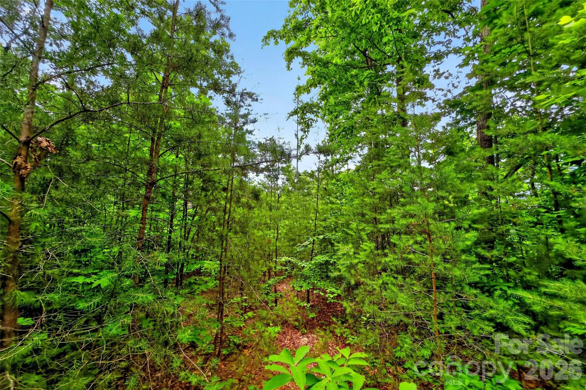 213 Mitchell View N #213MV - Photo 2