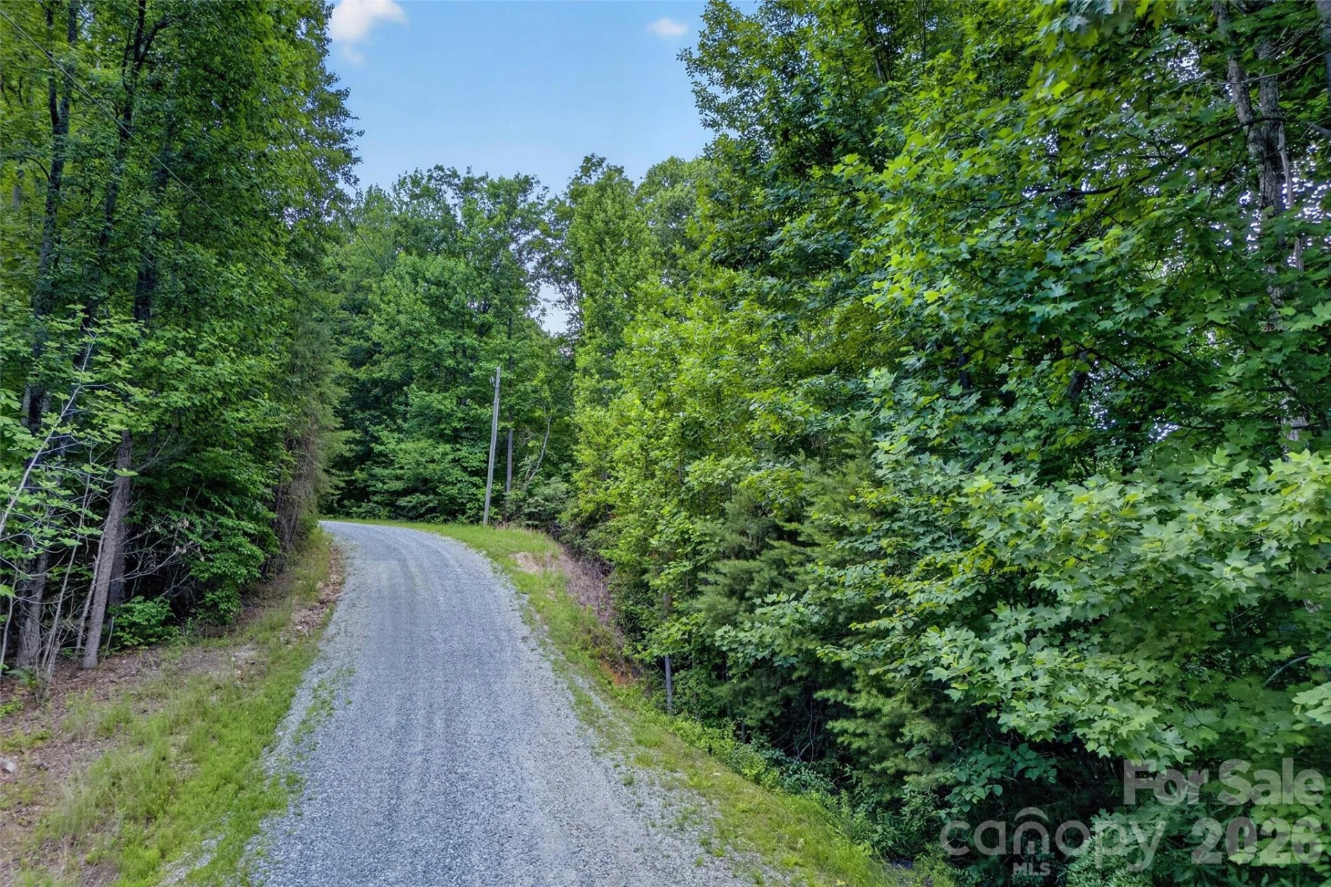 213 Mitchell View N #213MV - Photo 15