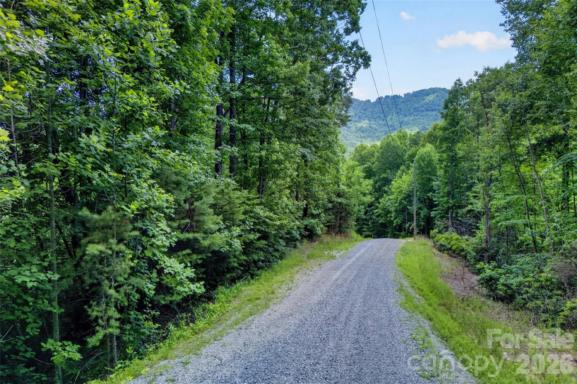 213 Mitchell View N #213MV - Photo 20