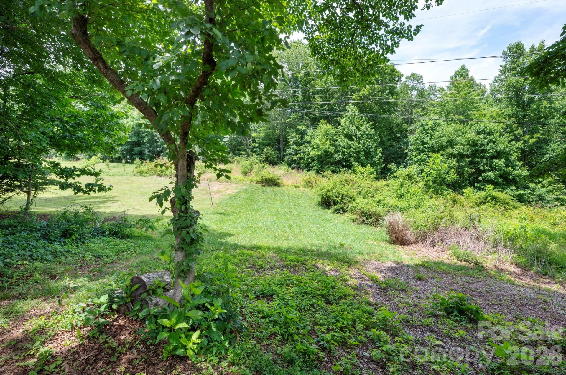 58 Shuler Road - Photo 24