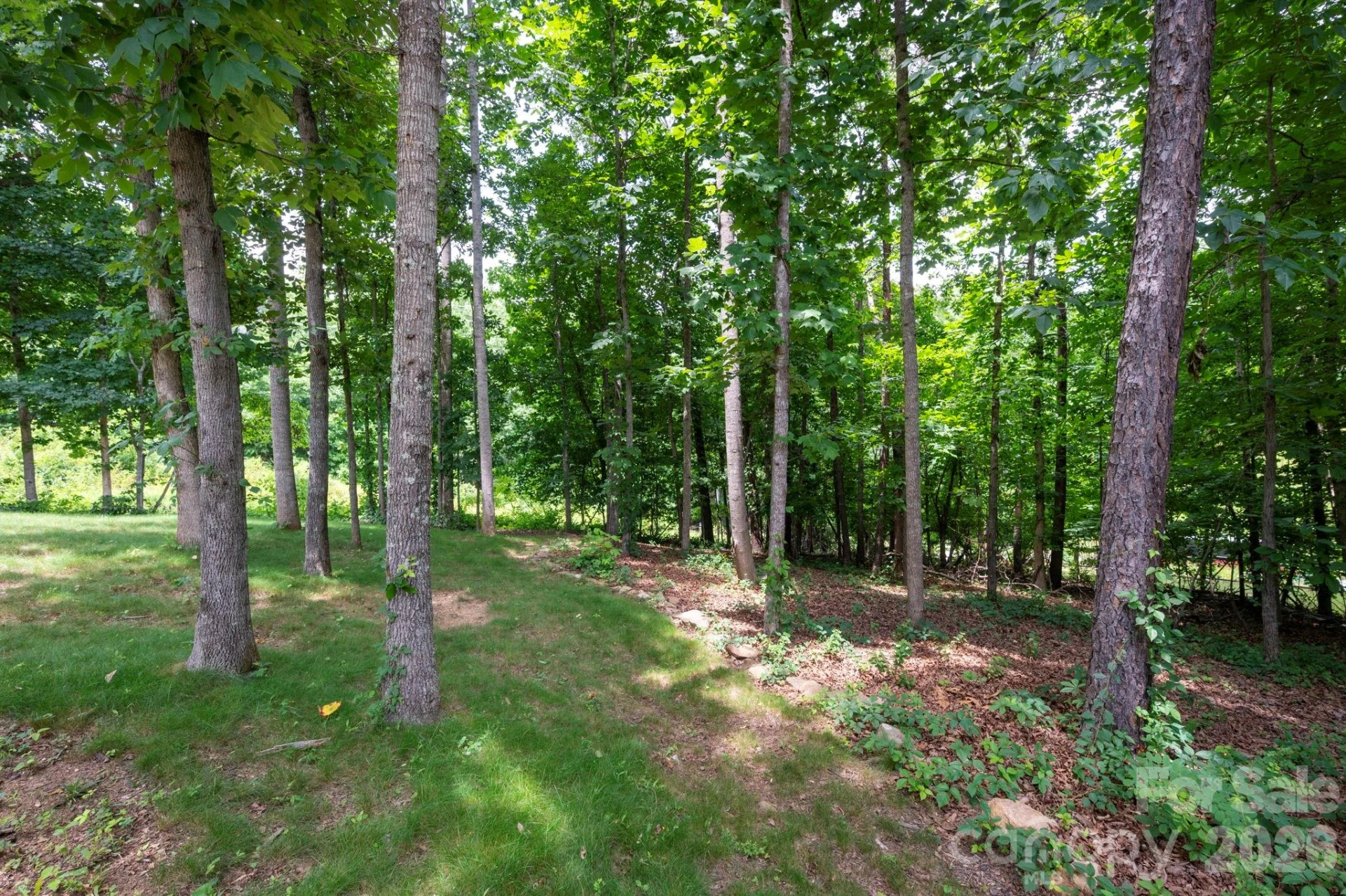 58 Shuler Road - Photo 25