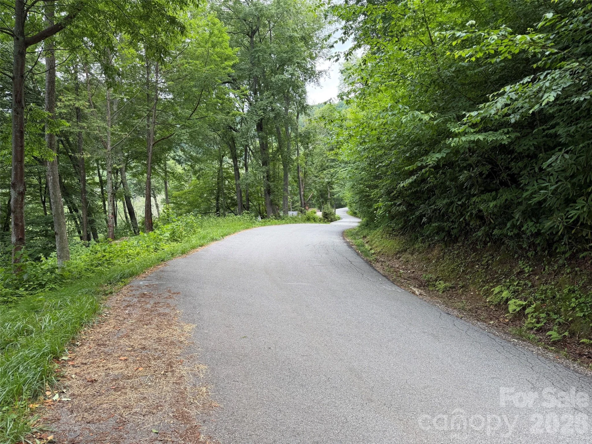 Lot 5 Gadohi Trail #5 - Photo 3