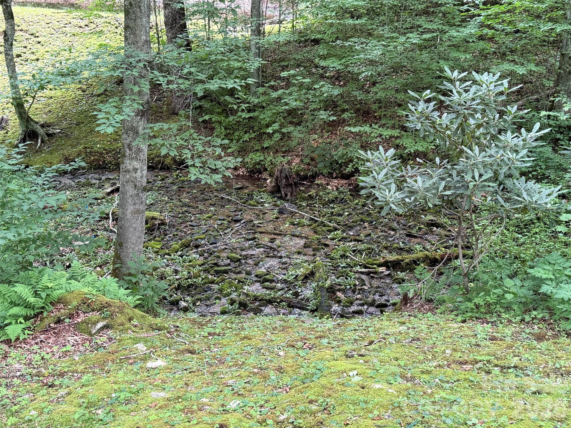 Lot 5 Gadohi Trail #5 - Photo 27