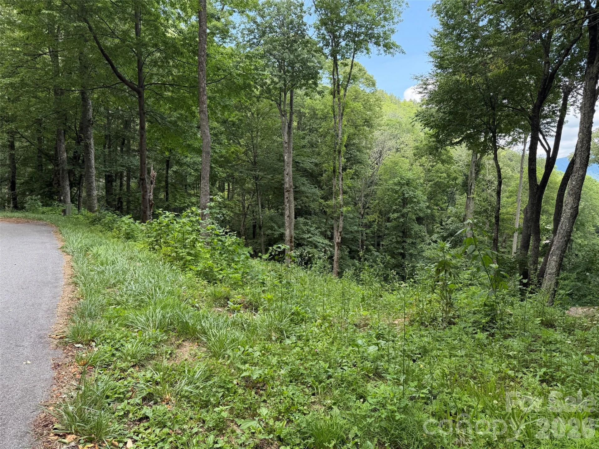 Lot 5 Gadohi Trail #5 - Photo 4
