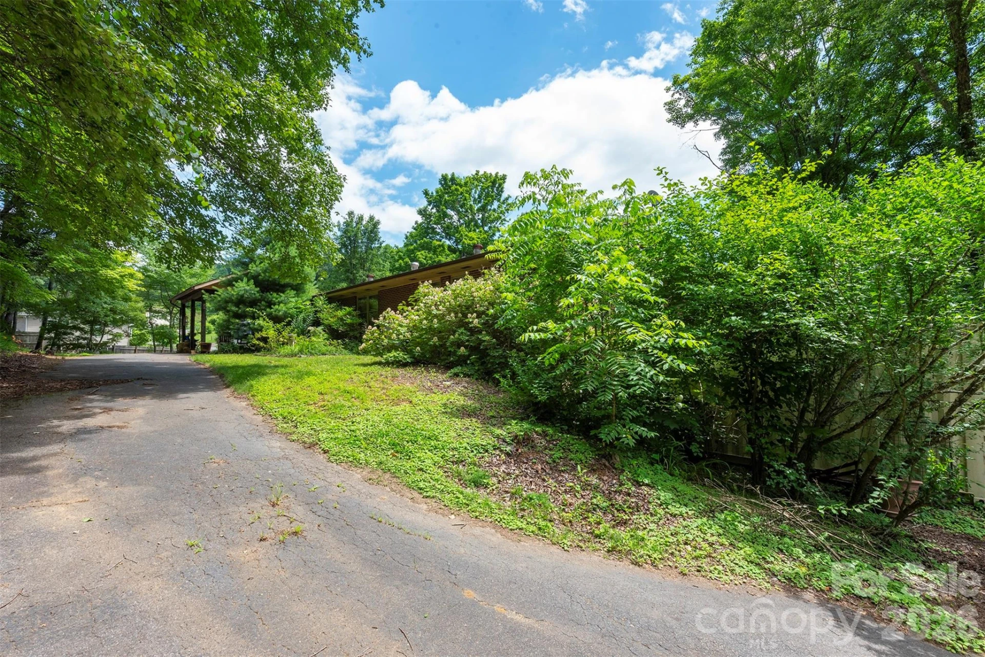 637 Fisher Lane - Photo 6