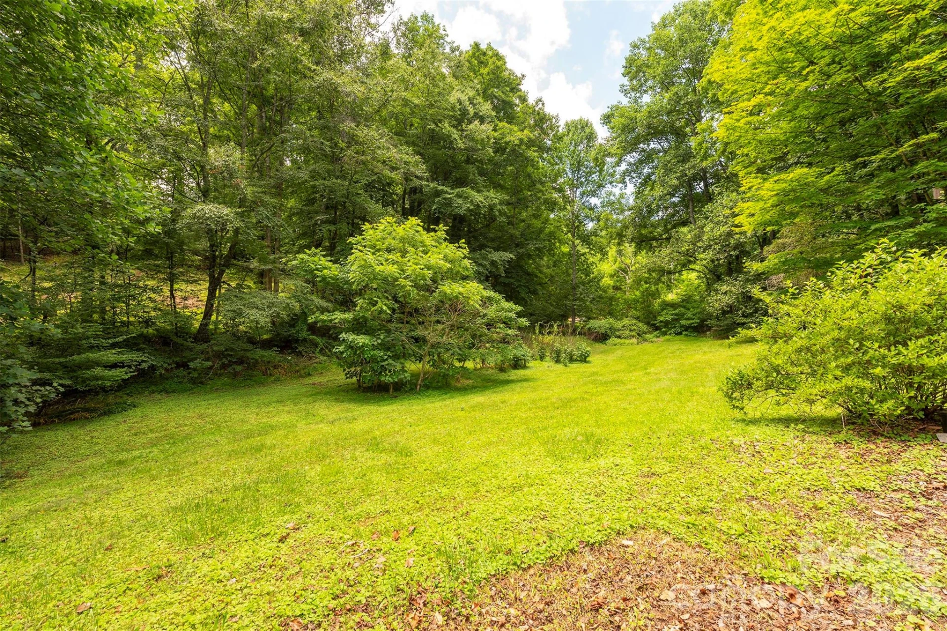 637 Fisher Lane - Photo 8