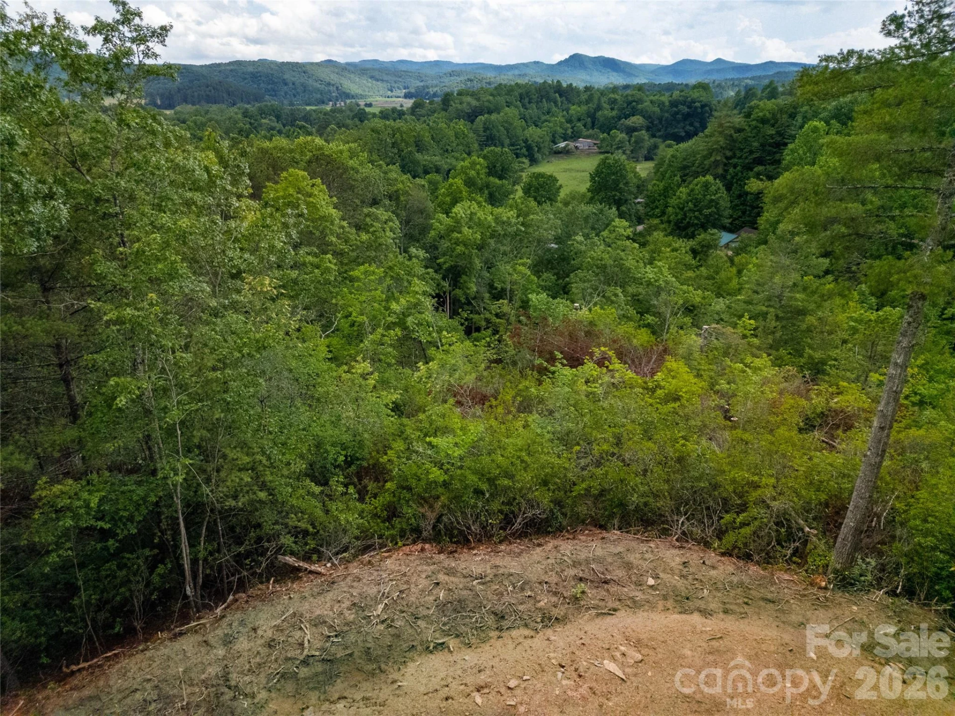 TBD Cherryfield Loop Road - Photo 2
