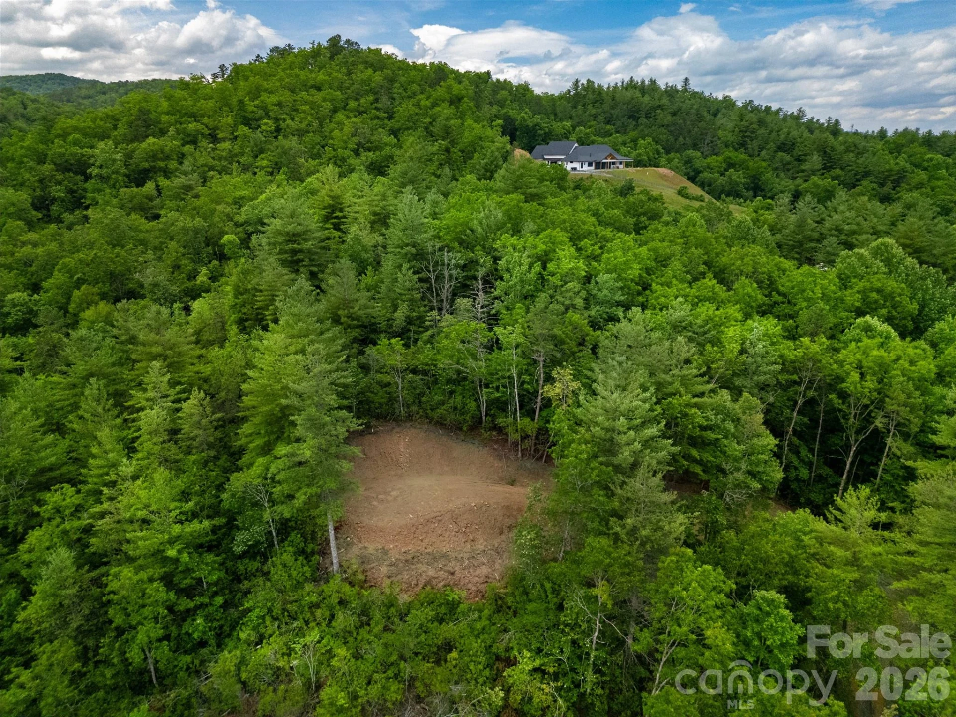 TBD Cherryfield Loop Road - Photo 11