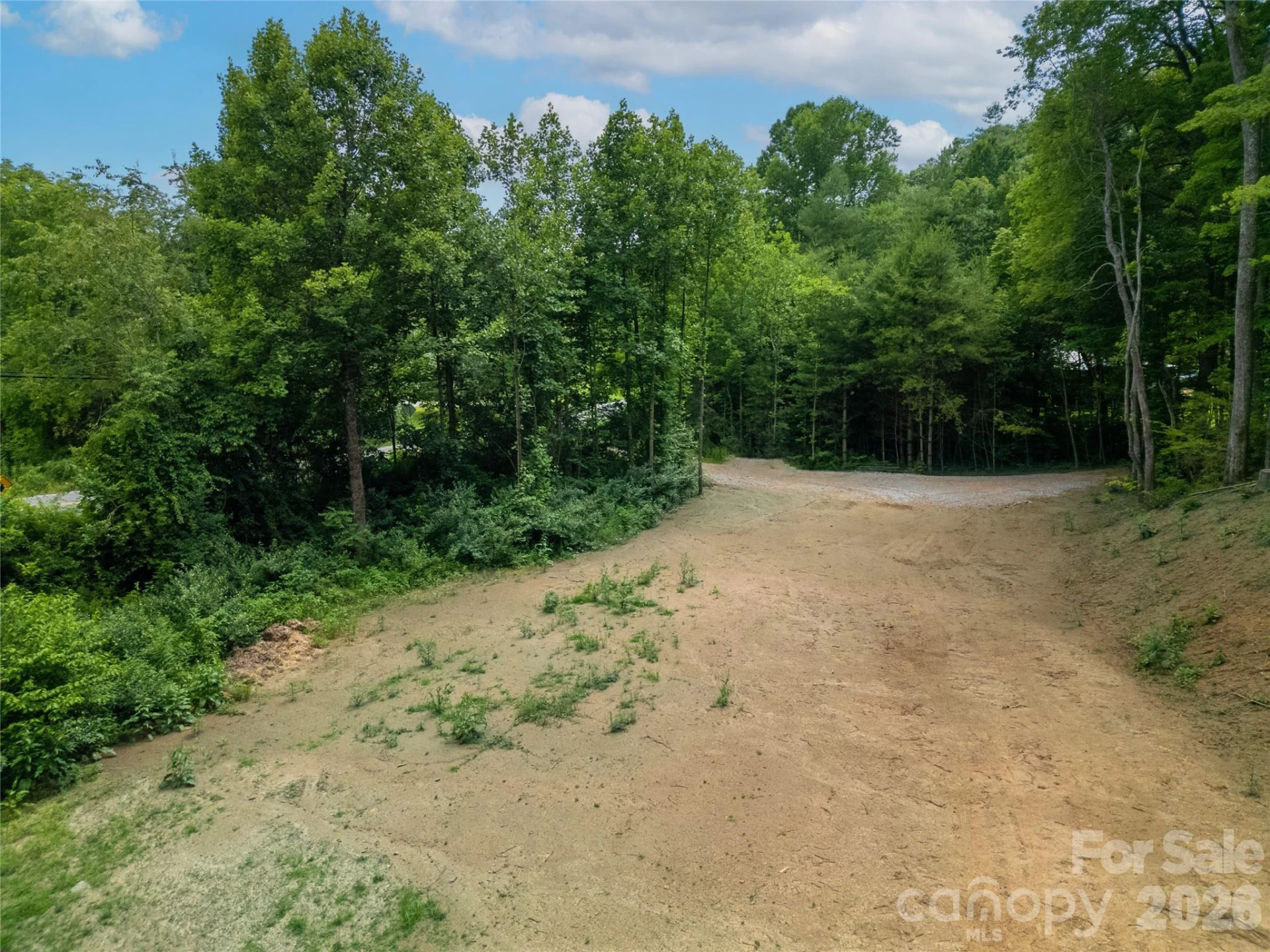 TBD Cherryfield Loop Road - Photo 13