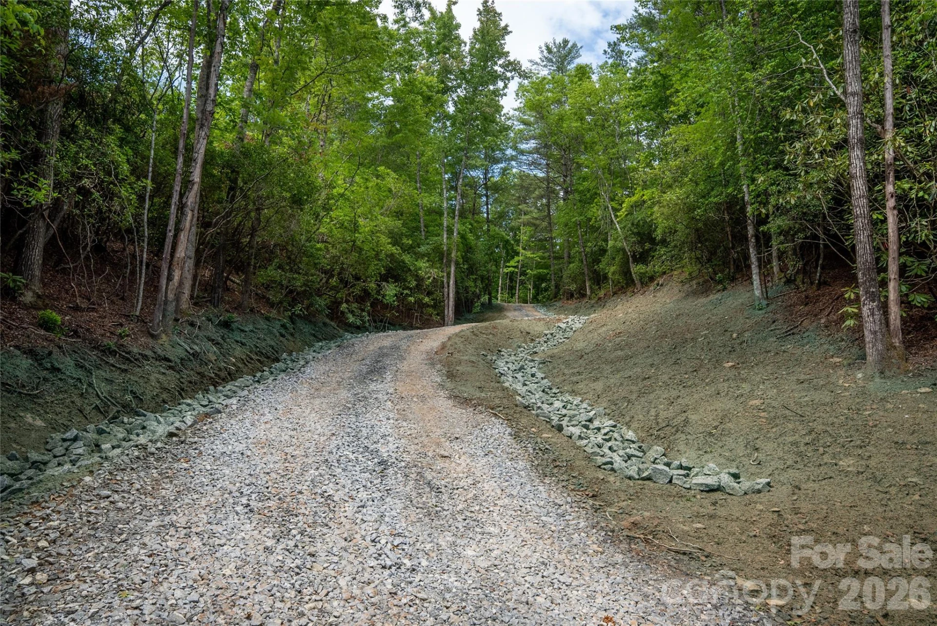TBD Cherryfield Loop Road - Photo 15