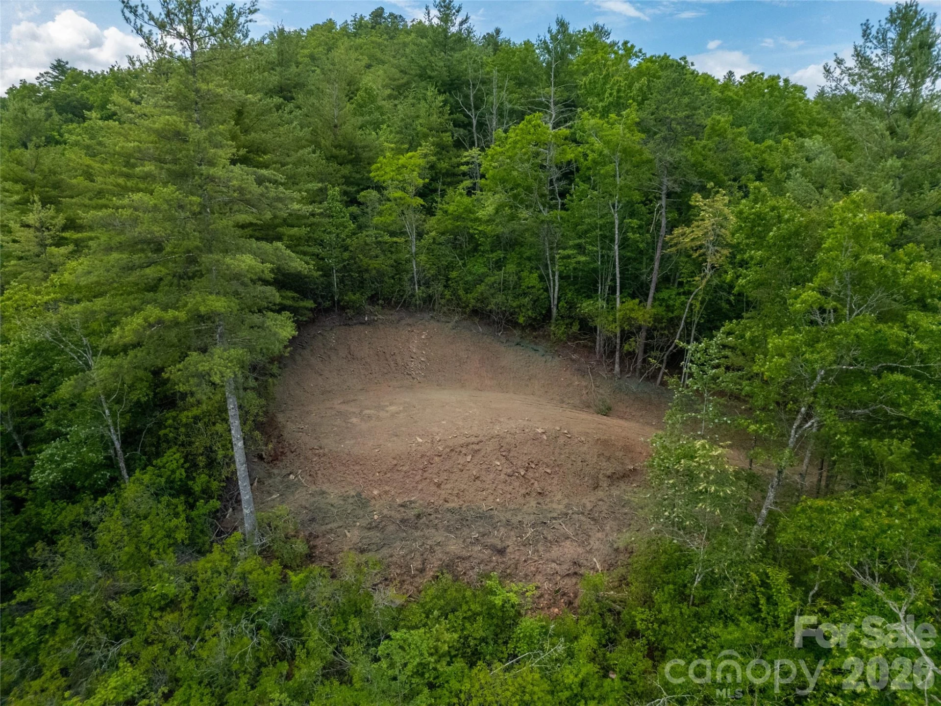 TBD Cherryfield Loop Road - Photo 3