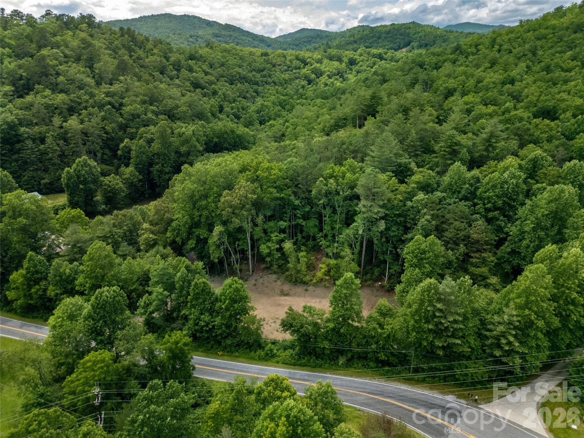 TBD Cherryfield Loop Road - Photo 6