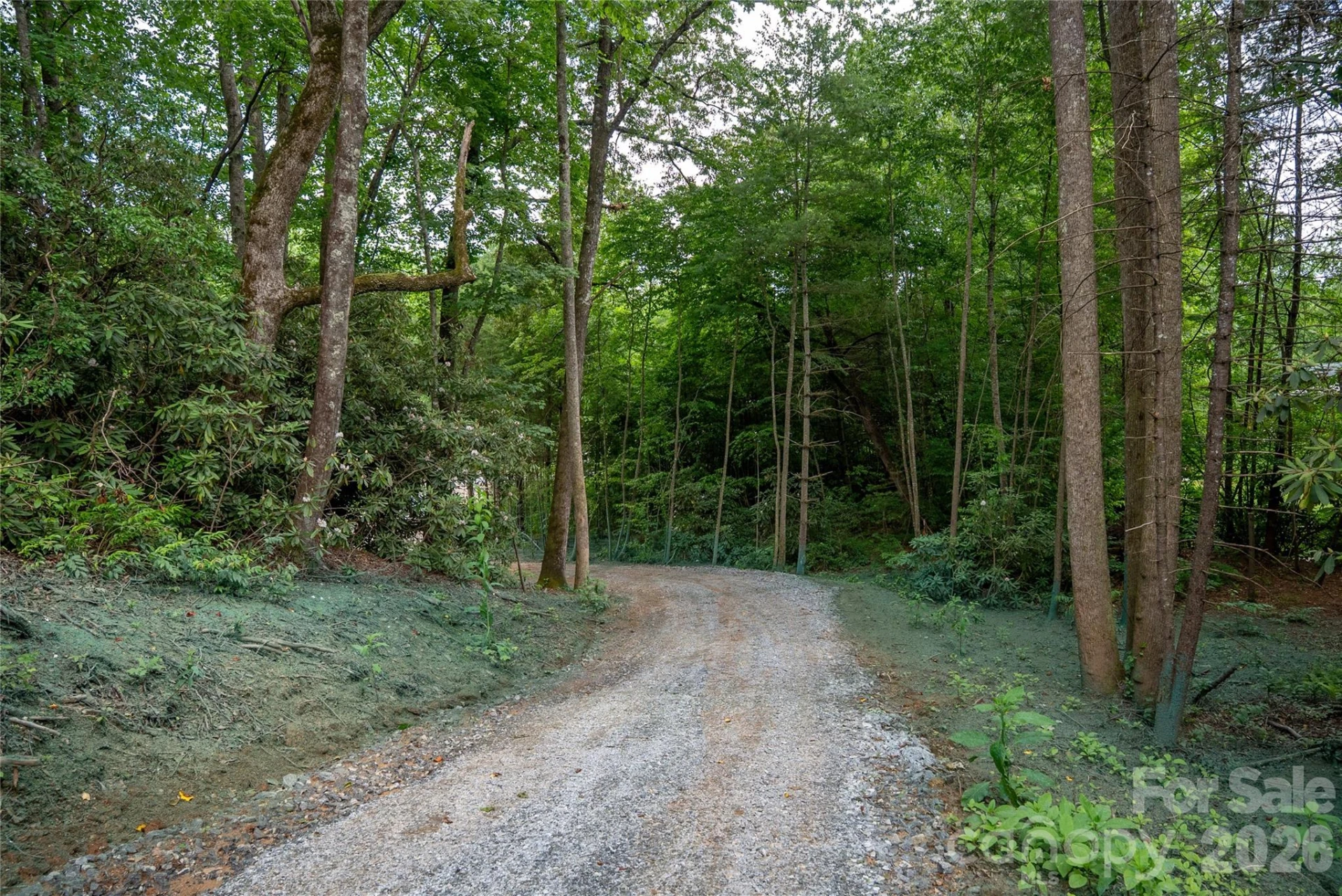 TBD Cherryfield Loop Road - Photo 7