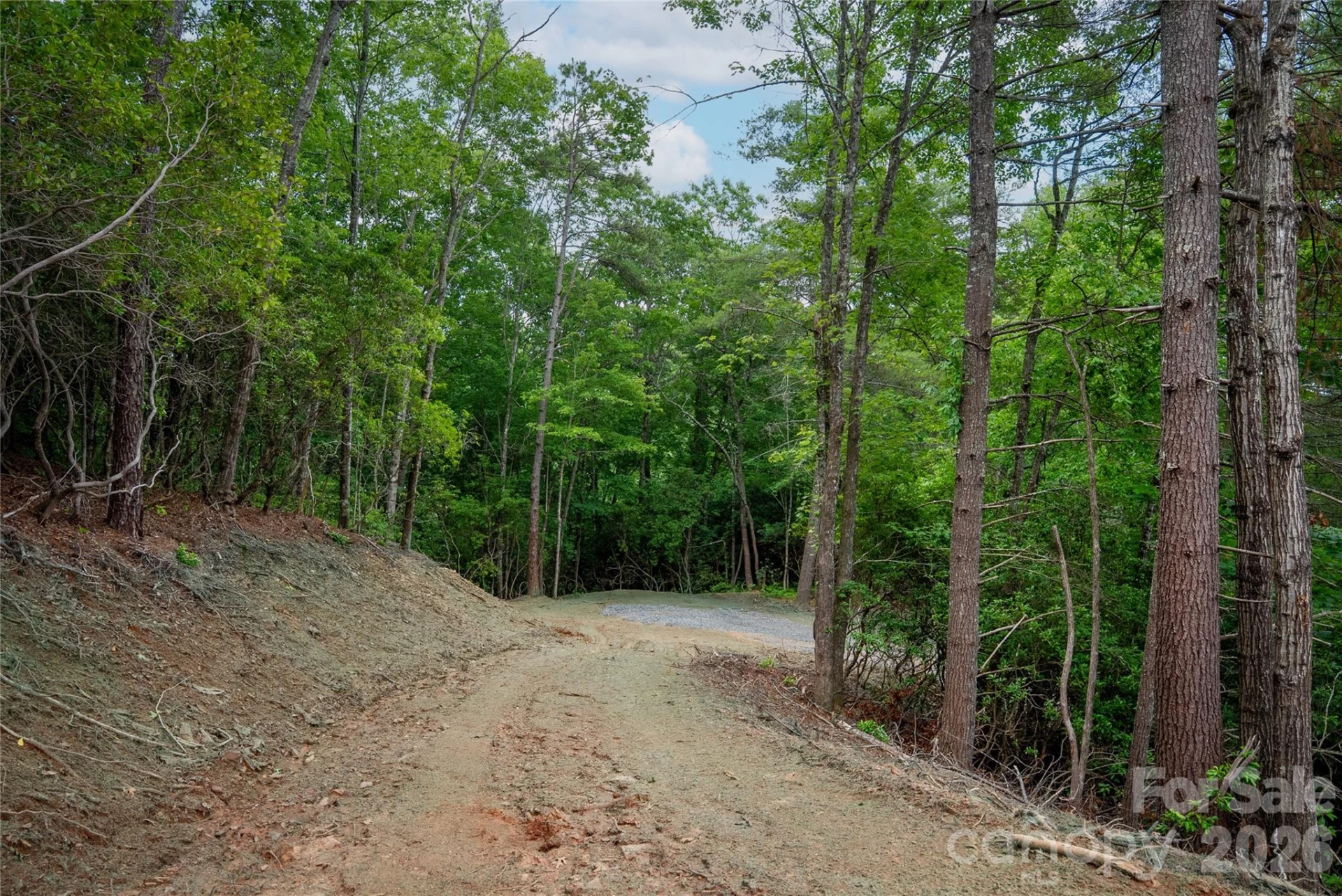 TBD Cherryfield Loop Road - Photo 8
