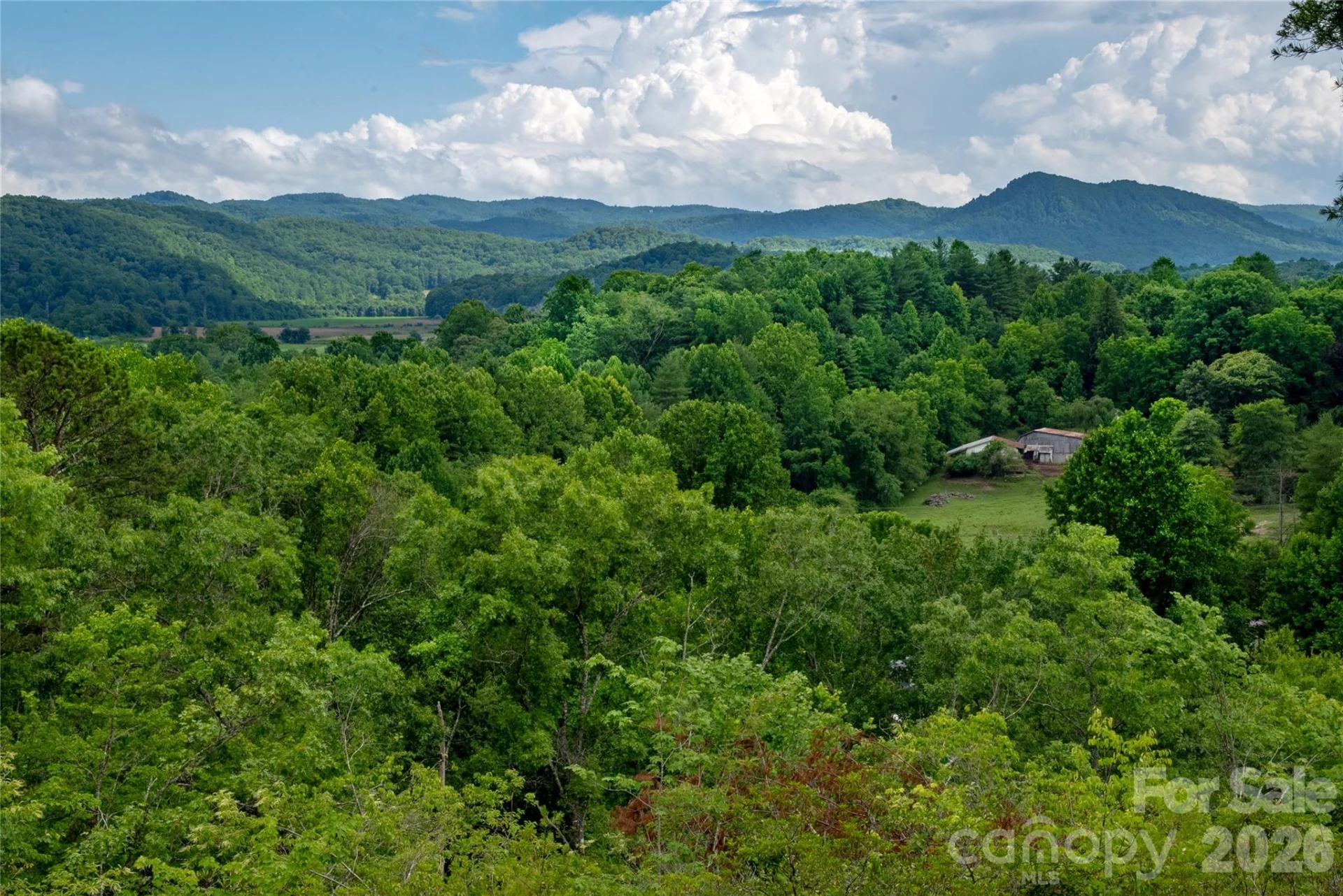 TBD Cherryfield Loop Road - Photo 10