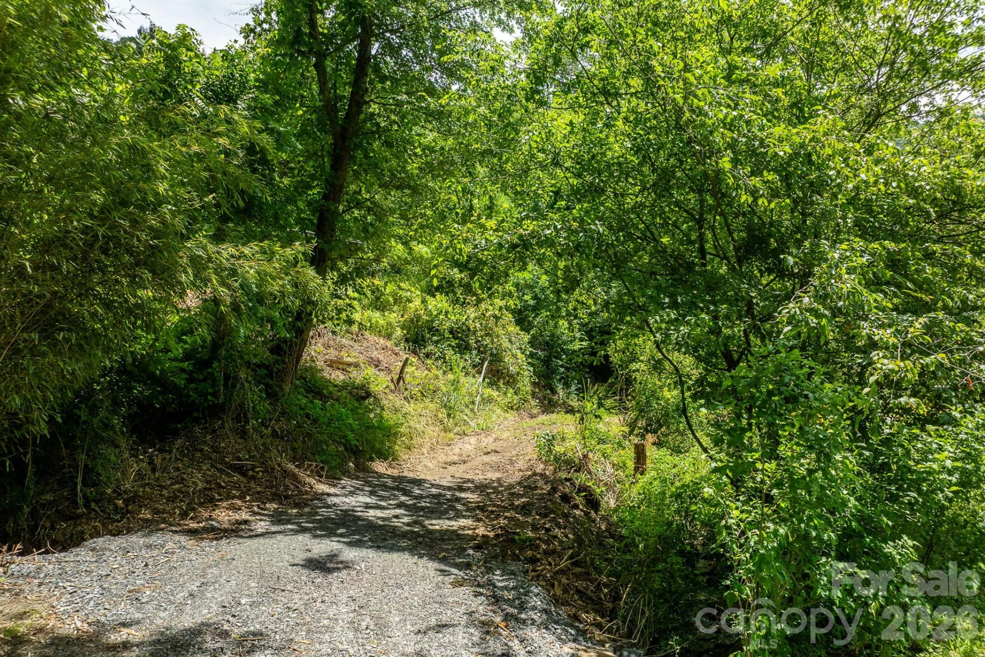789 Jarrett Cove Road - Photo 12