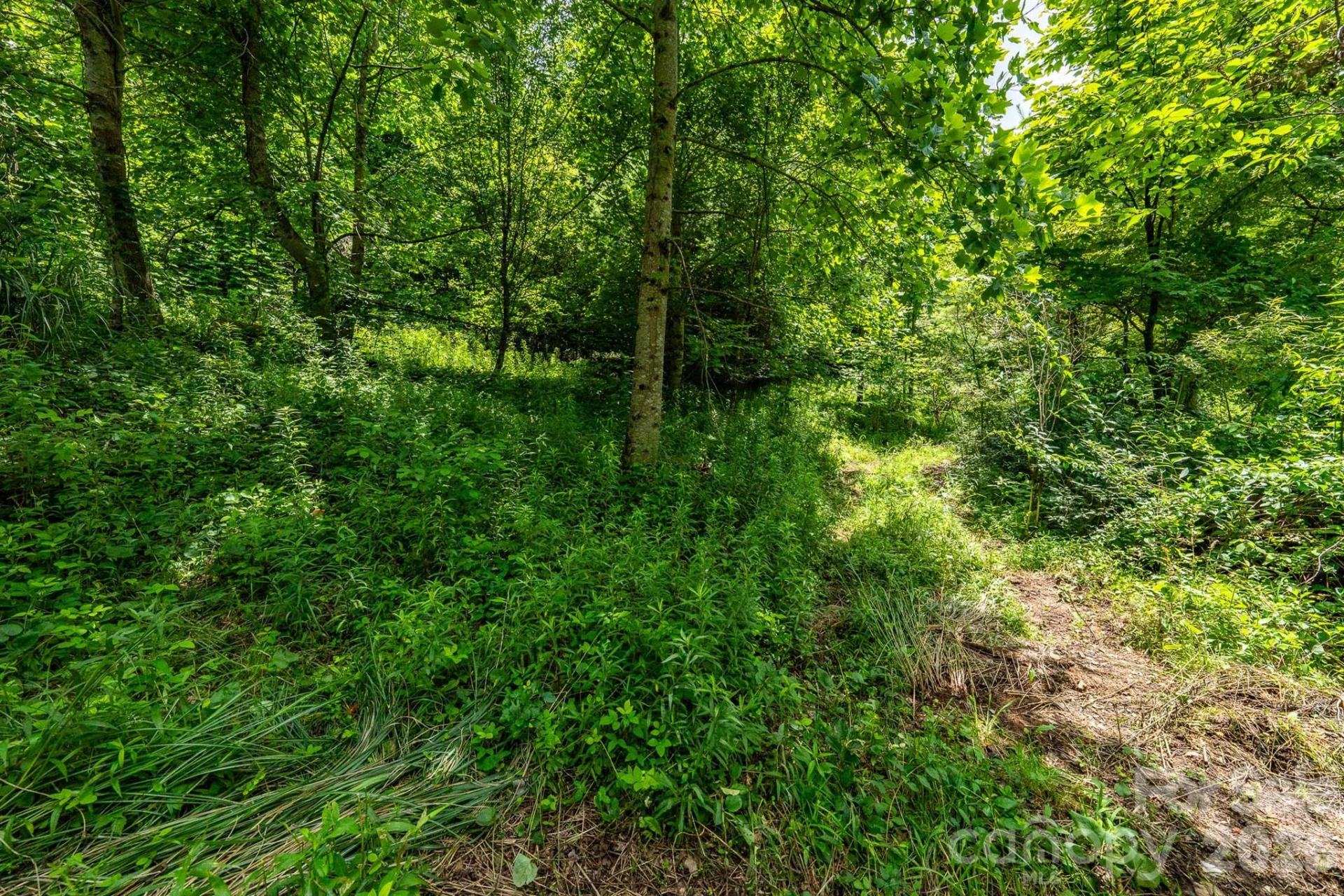789 Jarrett Cove Road - Photo 16