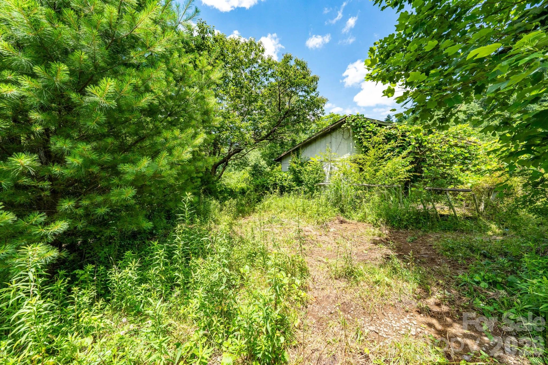789 Jarrett Cove Road - Photo 17