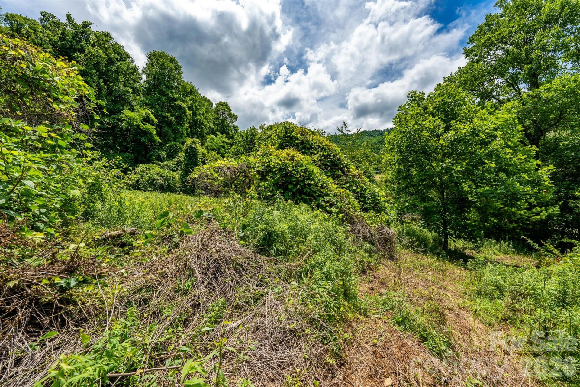 789 Jarrett Cove Road - Photo 18