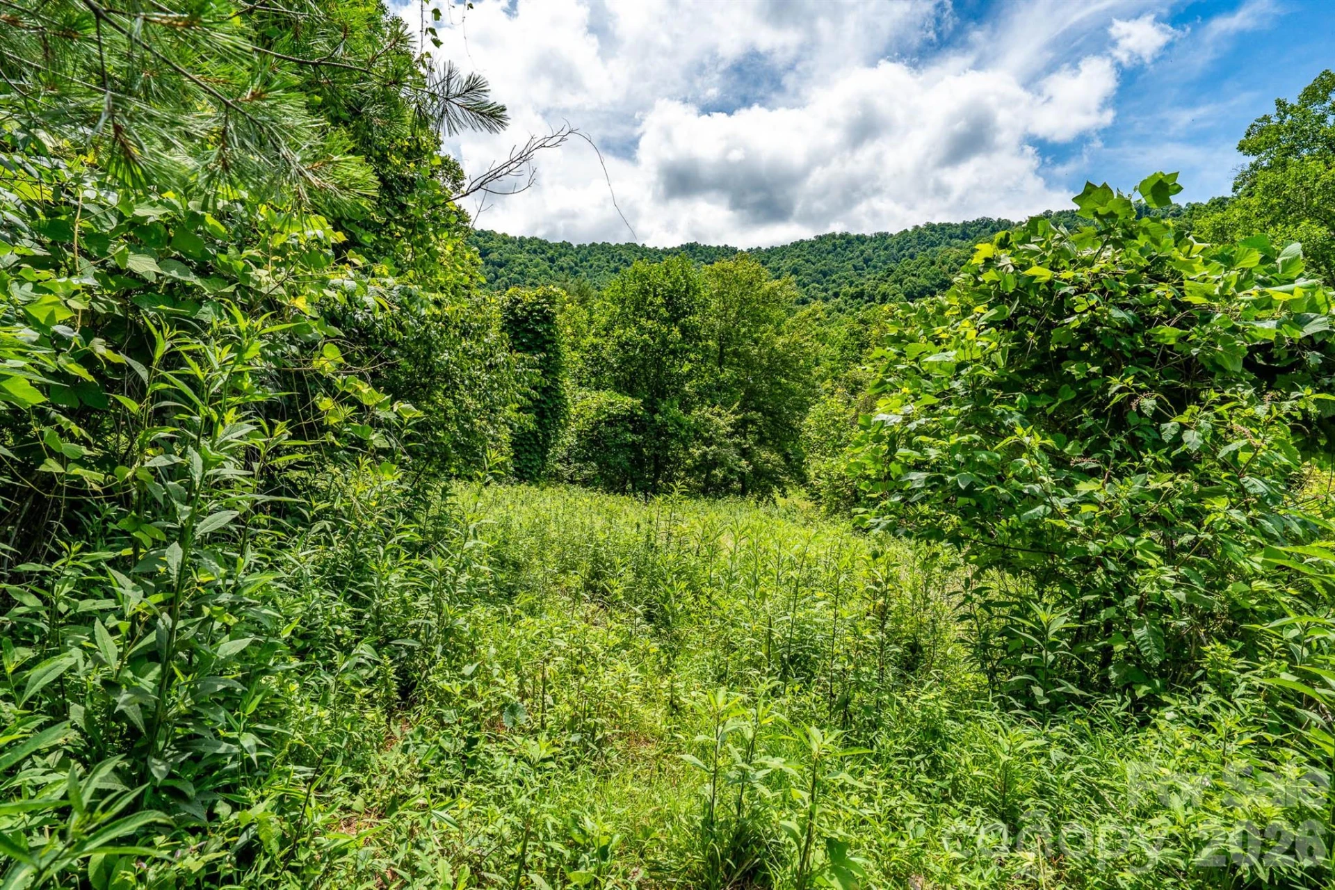 789 Jarrett Cove Road - Photo 19