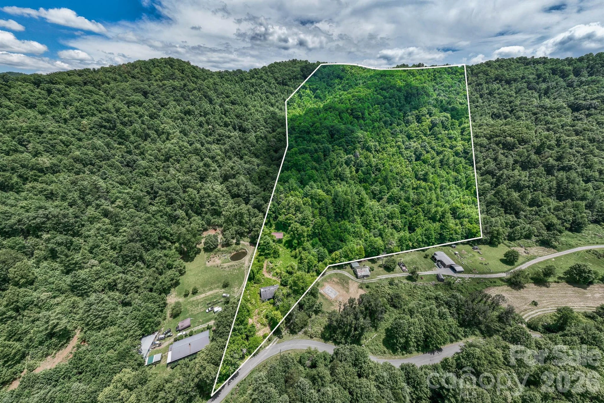 789 Jarrett Cove Road - Photo 3