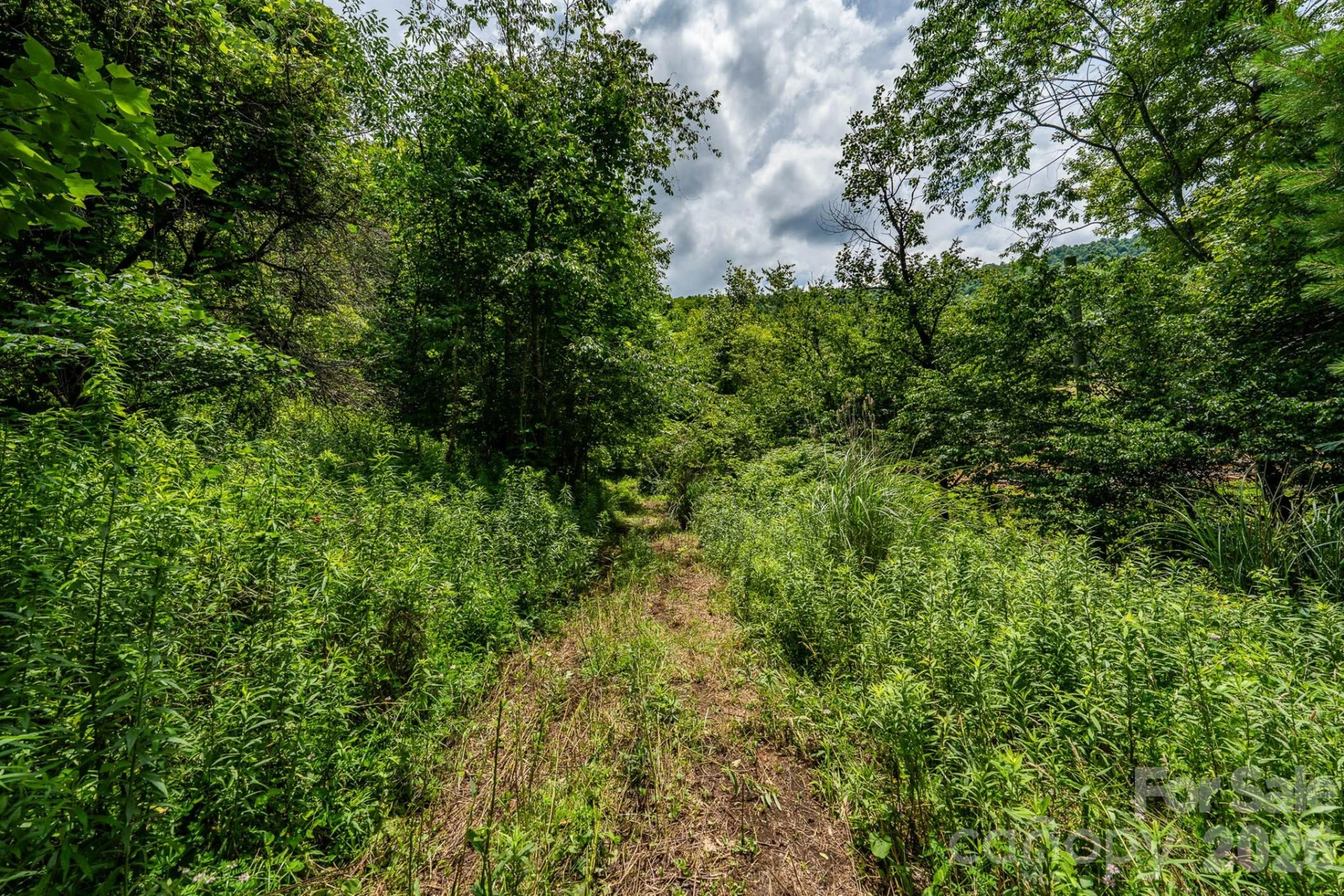 789 Jarrett Cove Road - Photo 27