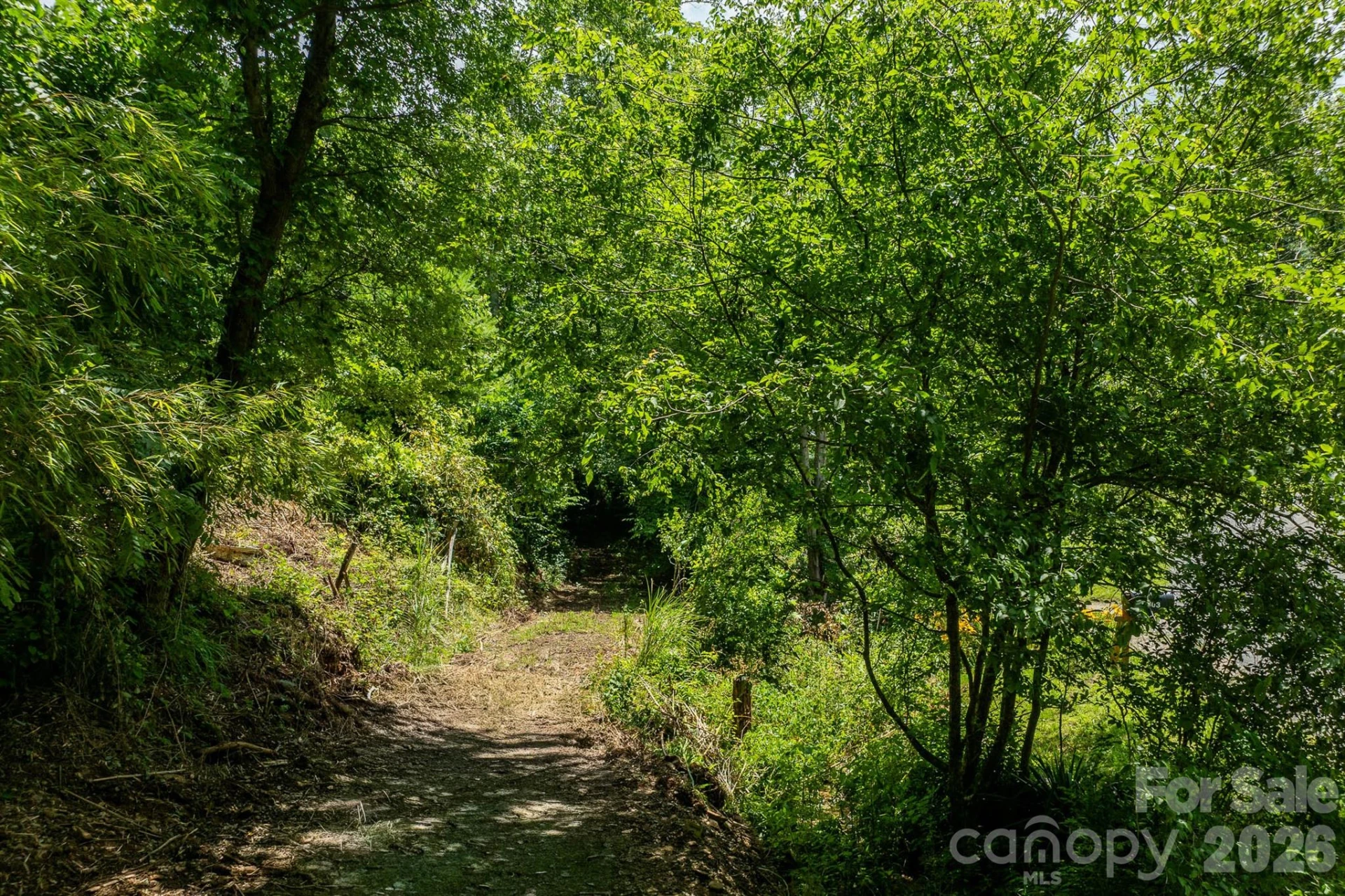 789 Jarrett Cove Road - Photo 4