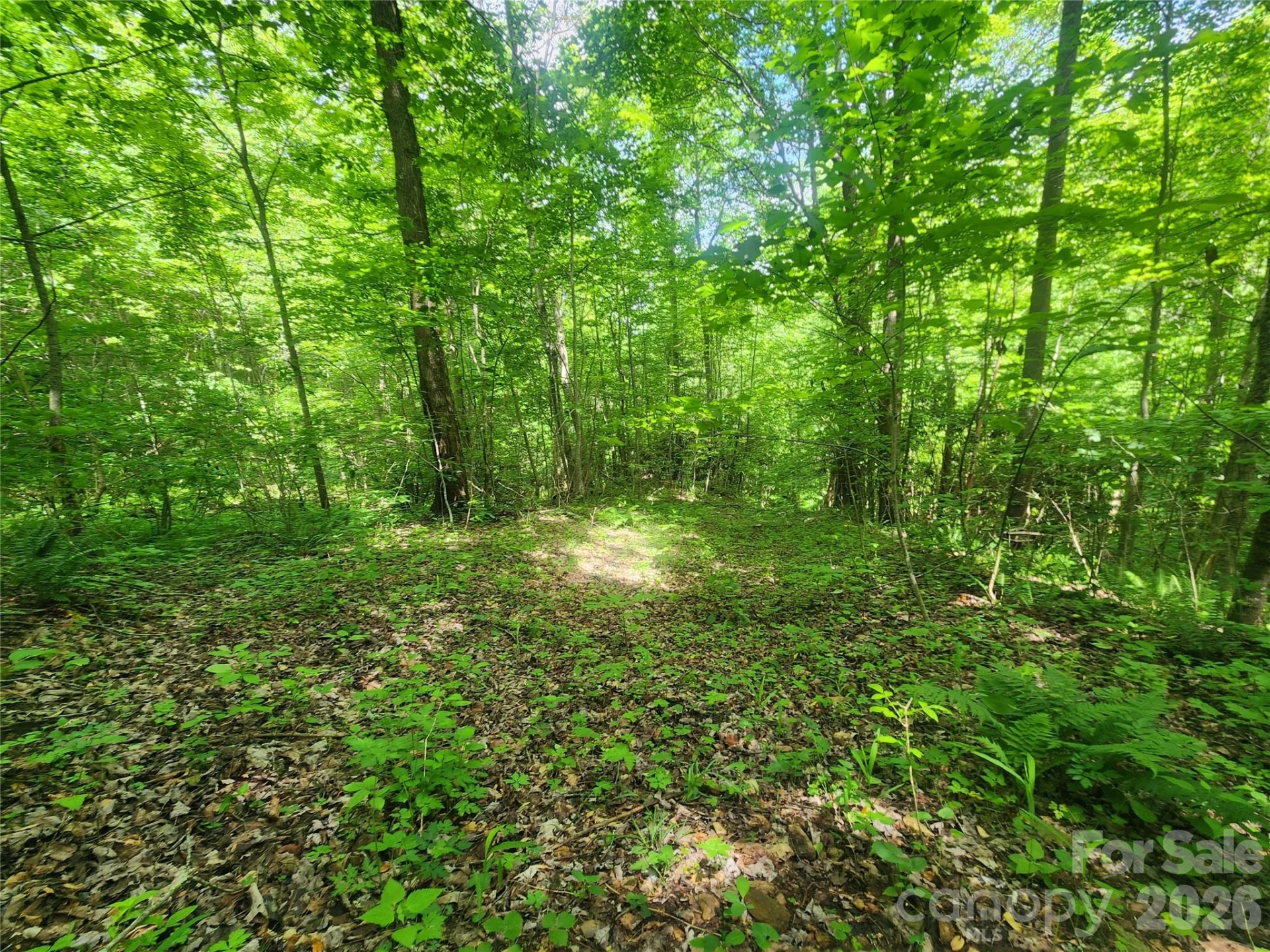 789 Jarrett Cove Road - Photo 31