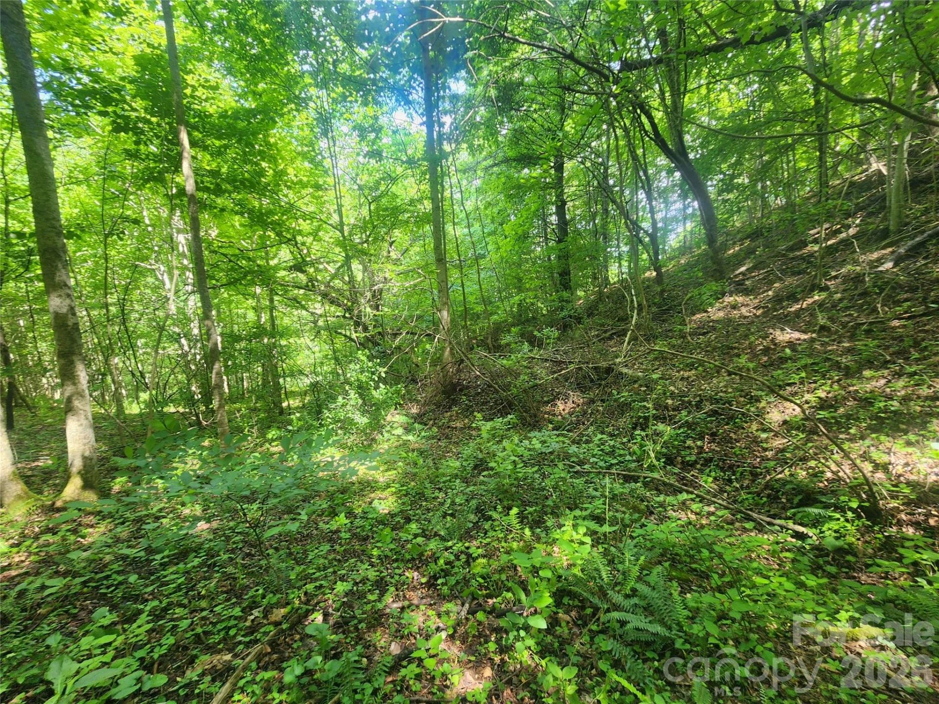 789 Jarrett Cove Road - Photo 38