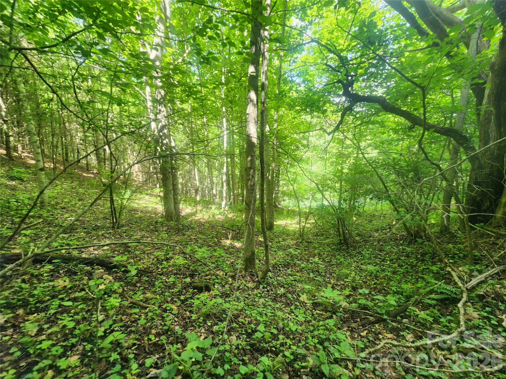 789 Jarrett Cove Road - Photo 39