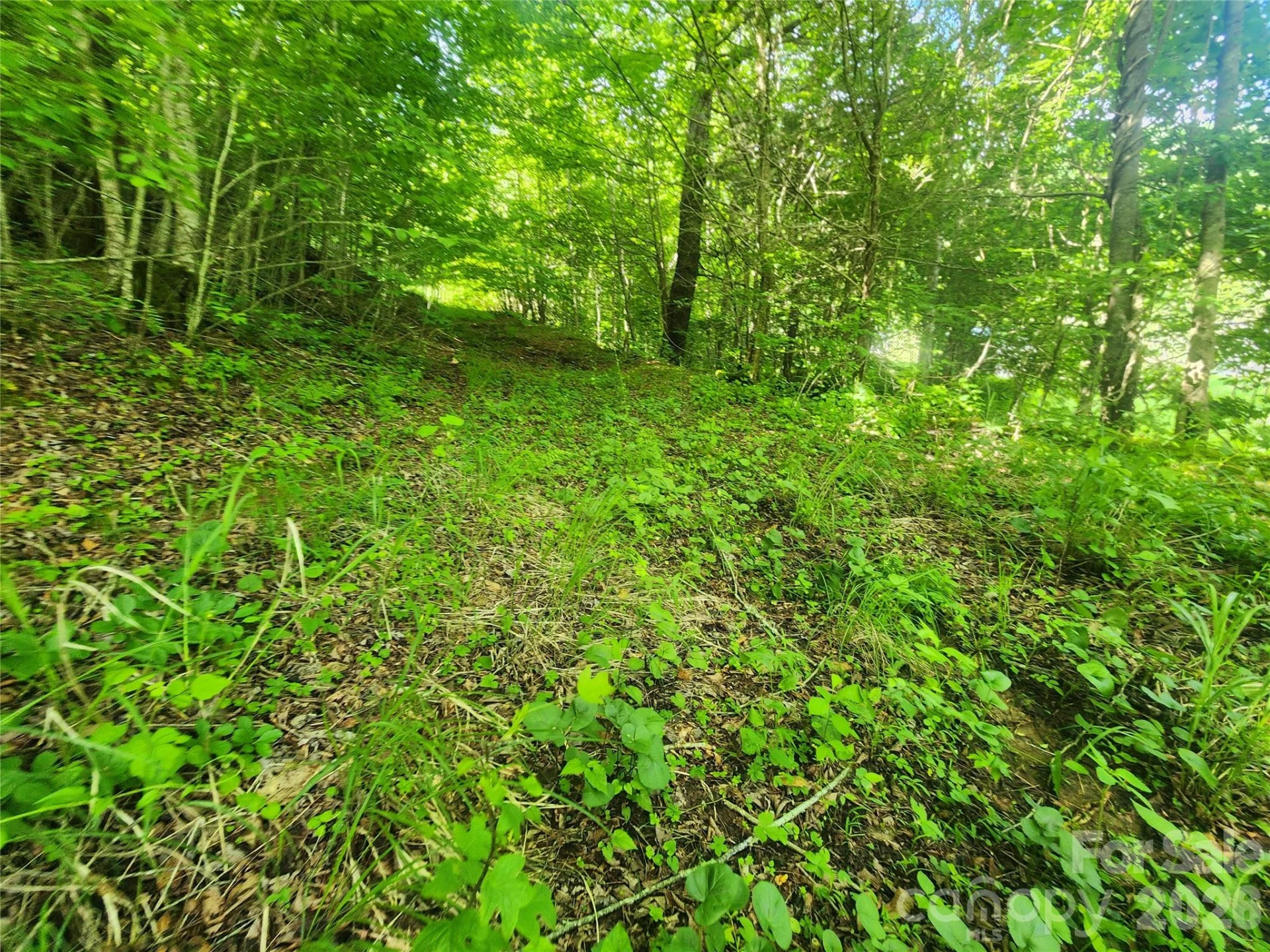 789 Jarrett Cove Road - Photo 40