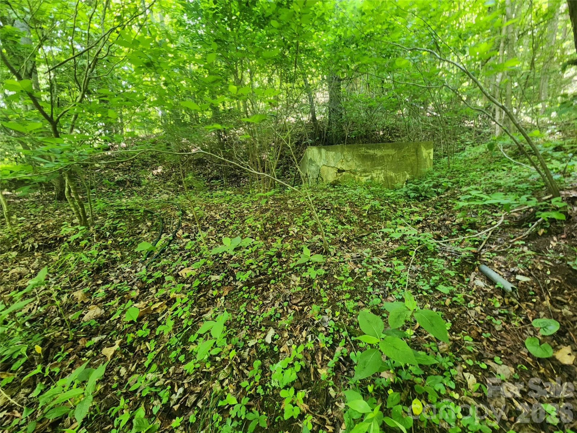 789 Jarrett Cove Road - Photo 42