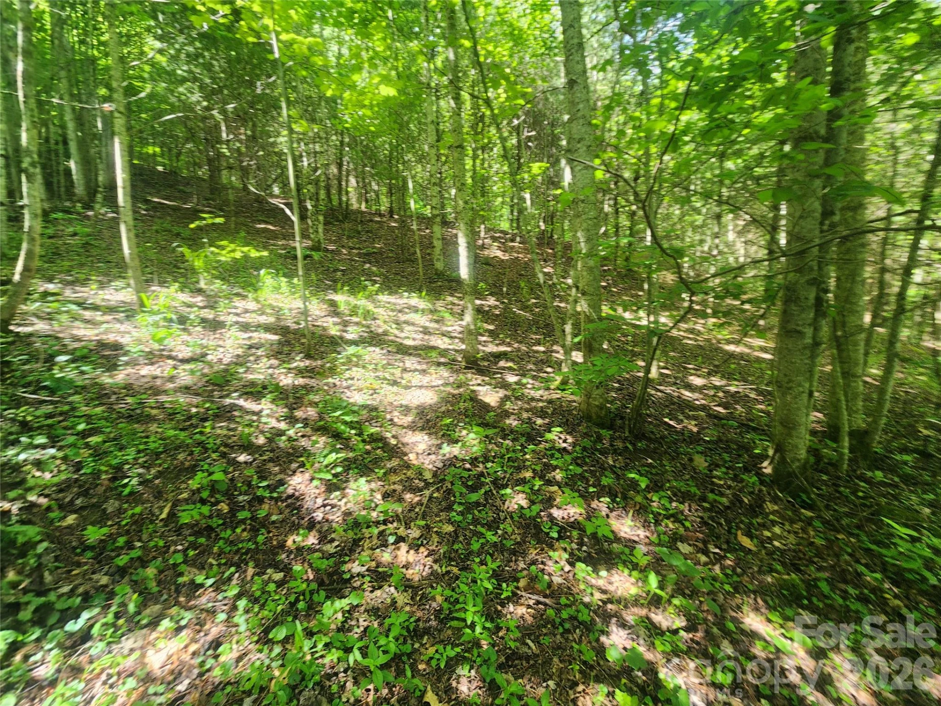 789 Jarrett Cove Road - Photo 43