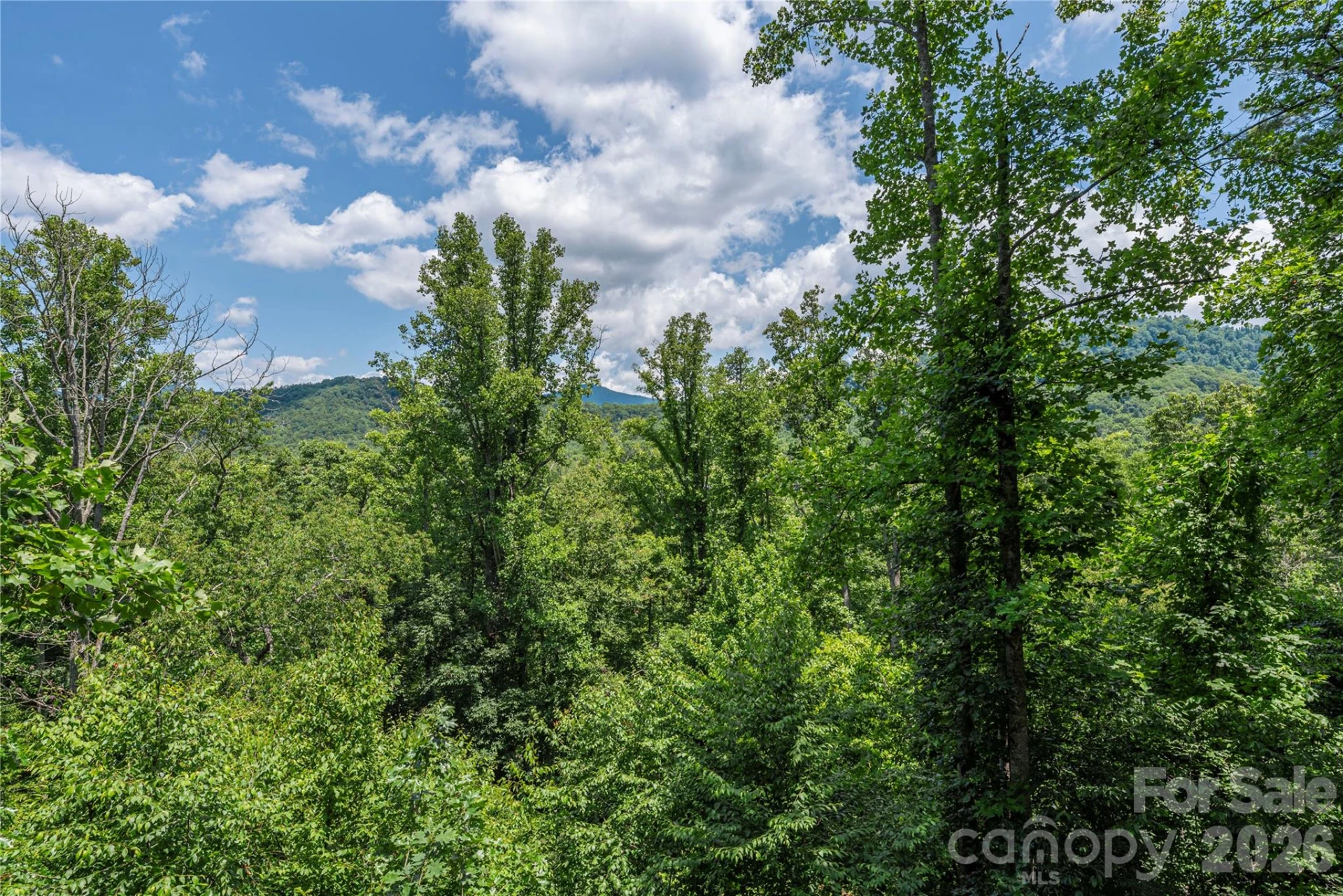 30 Garren View Drive - Photo 9