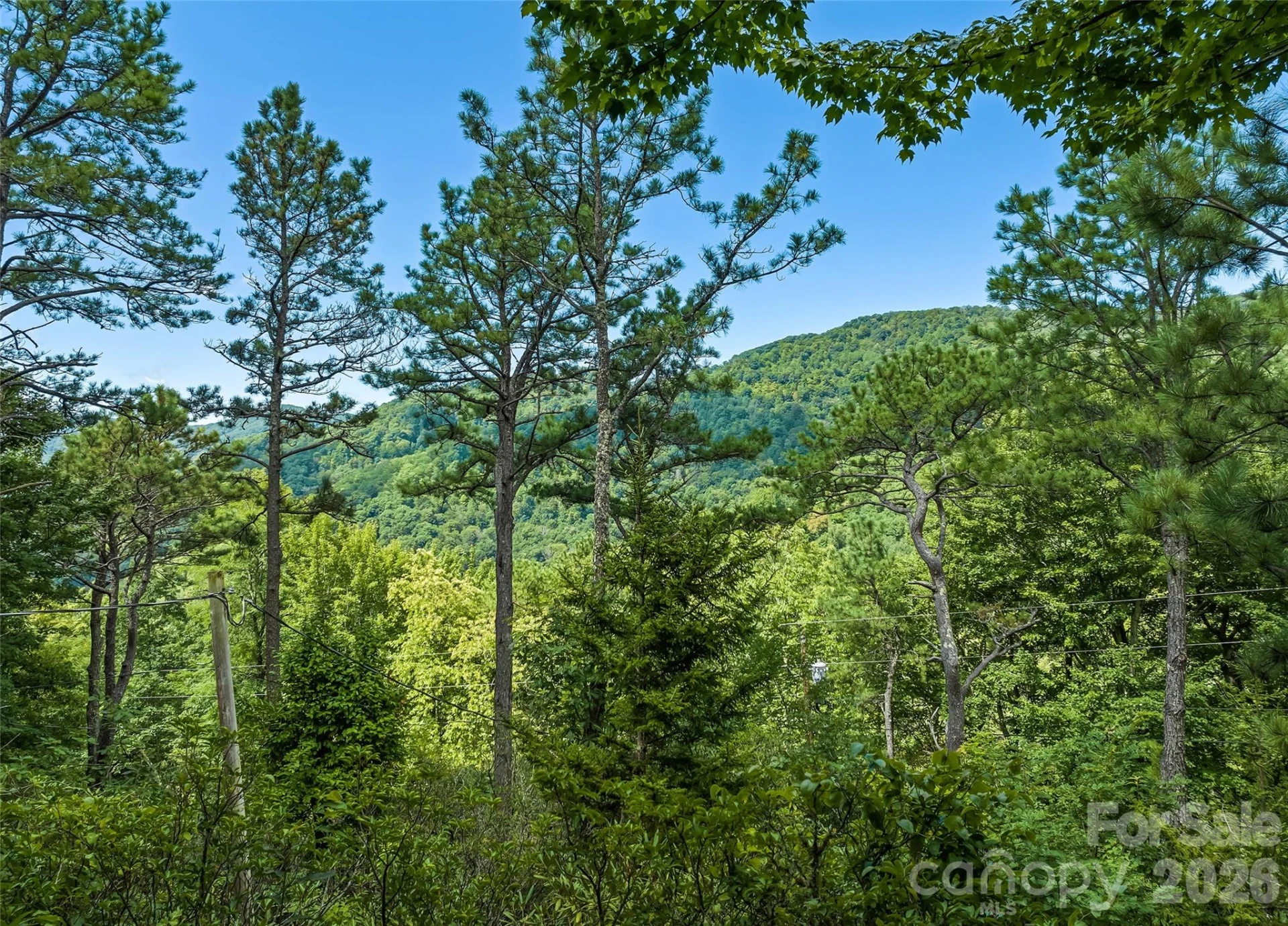 52 Steep Lane - Photo 4