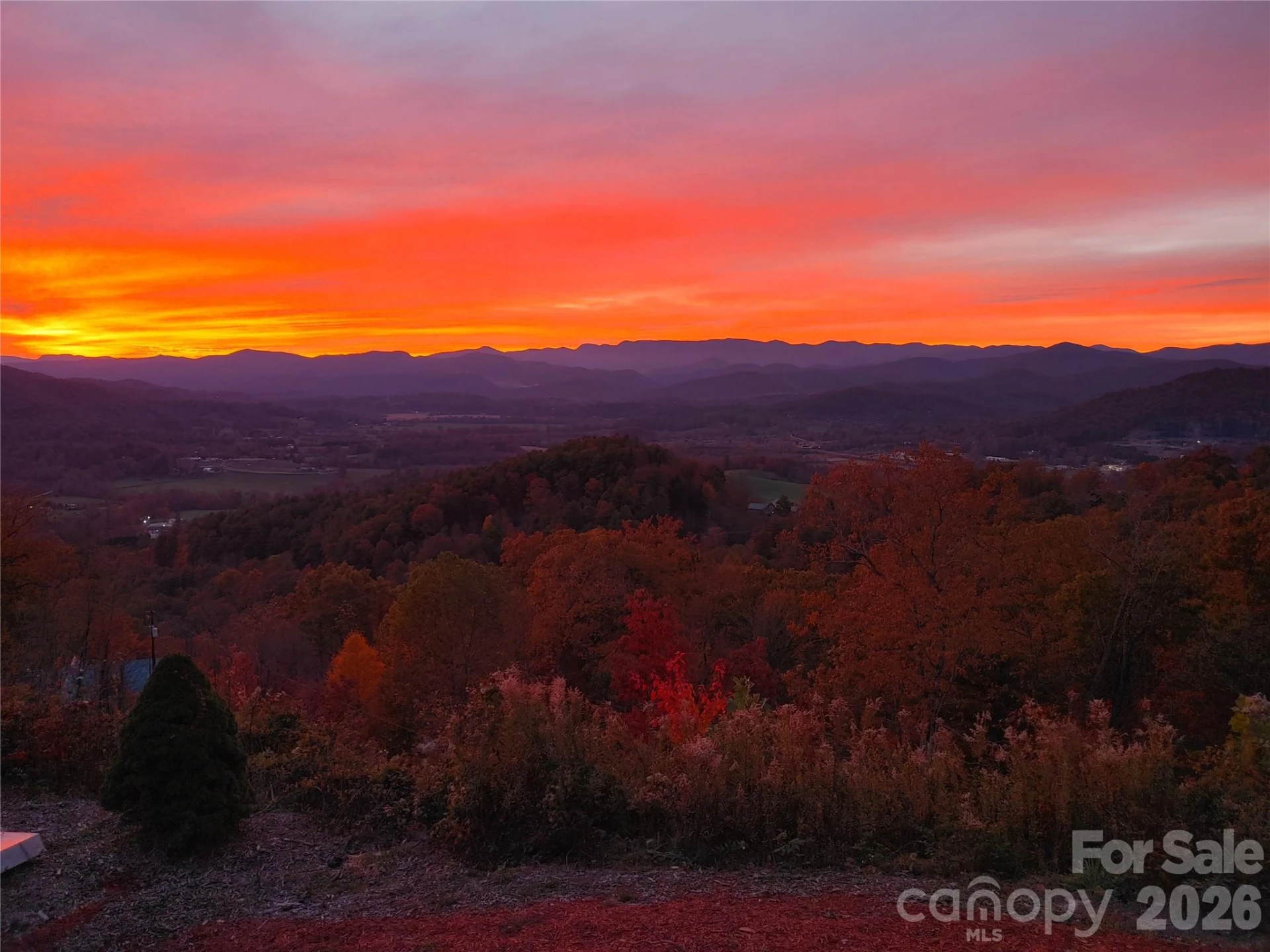 1025 Jeter Mountain Road - Photo 46