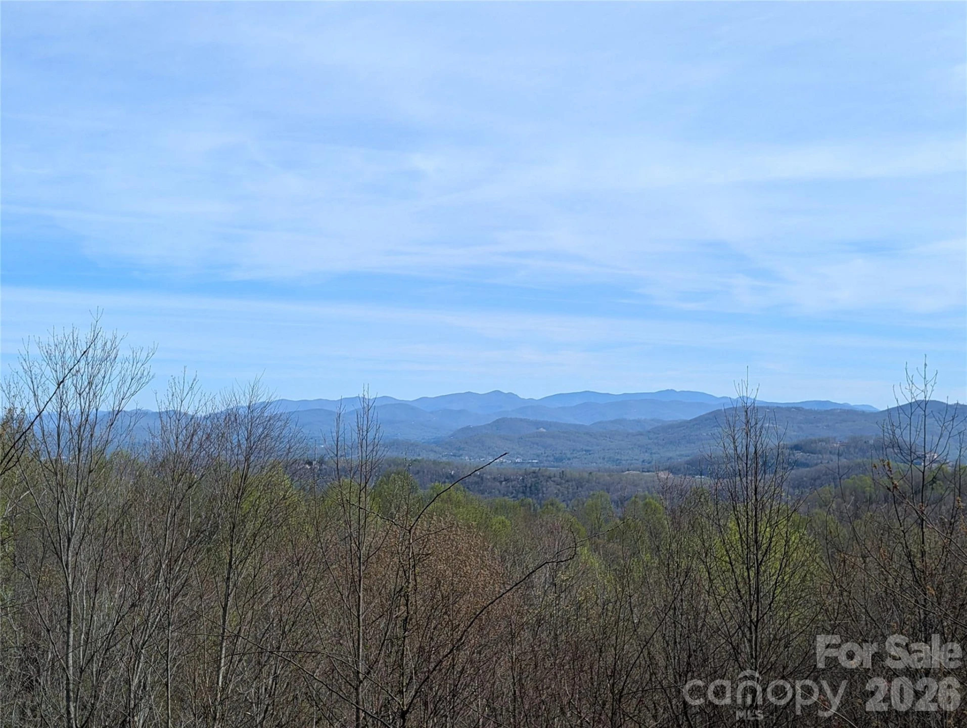 122 Birchwood Drive - Photo 4