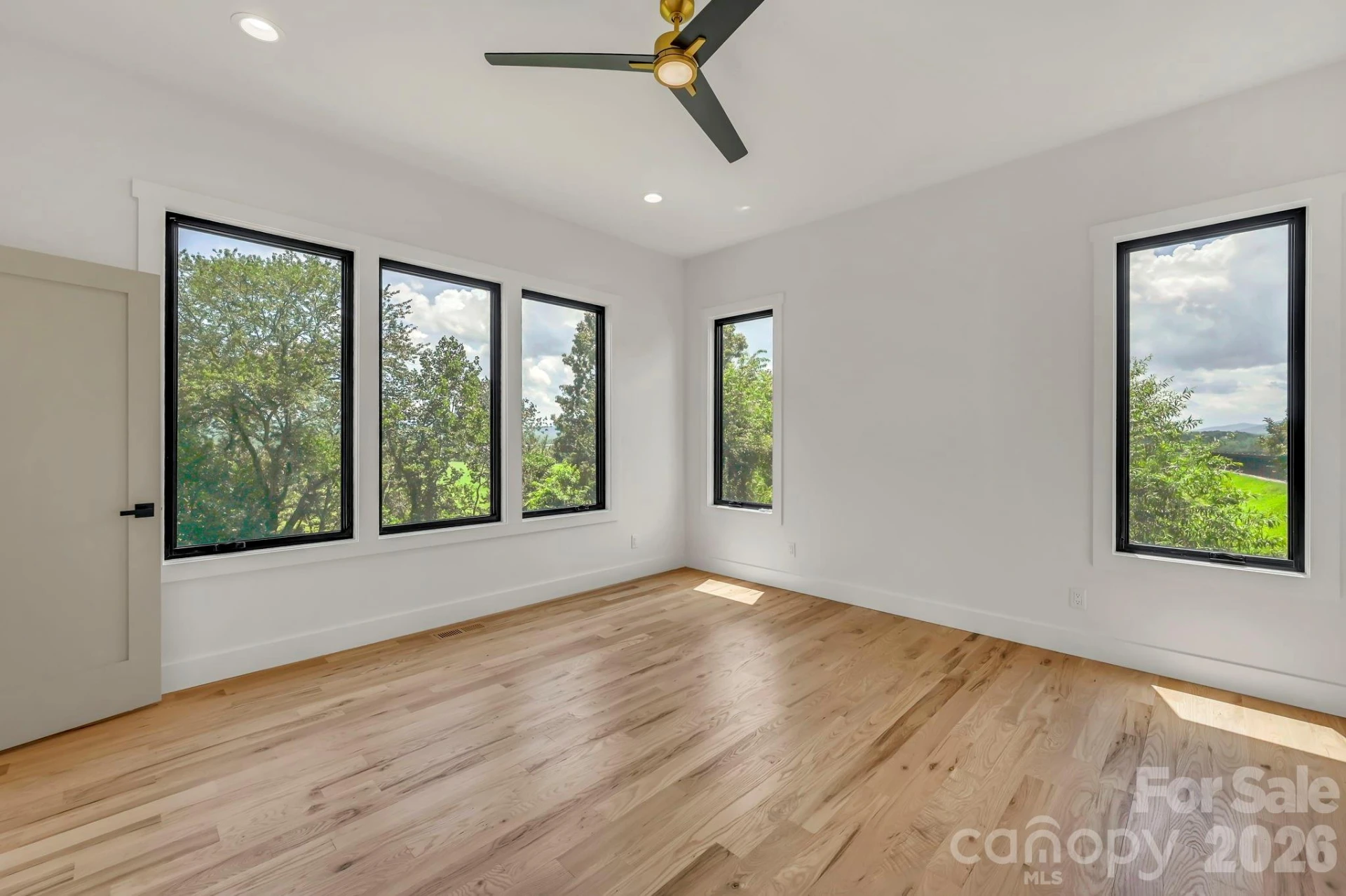 227 Pisgah Ridge Trail - Photo 24