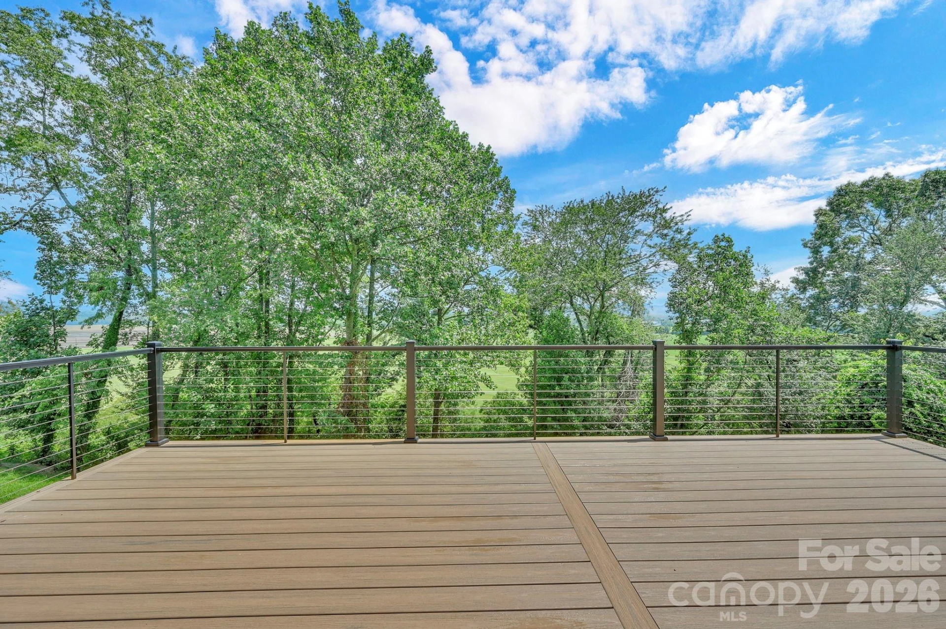 227 Pisgah Ridge Trail - Photo 6