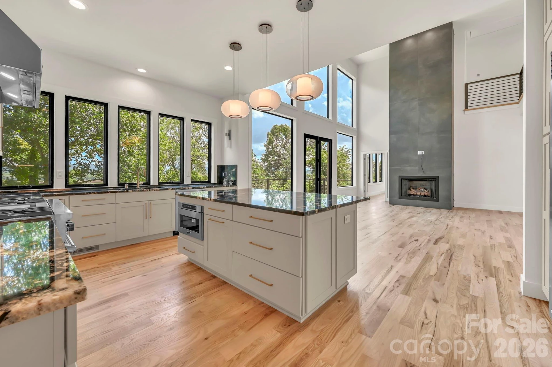 227 Pisgah Ridge Trail - Photo 7
