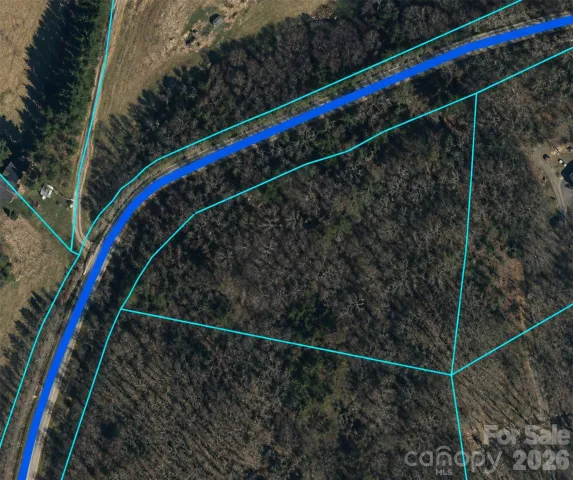 0 Clarks Branch Road, Leicester, NC, 28748