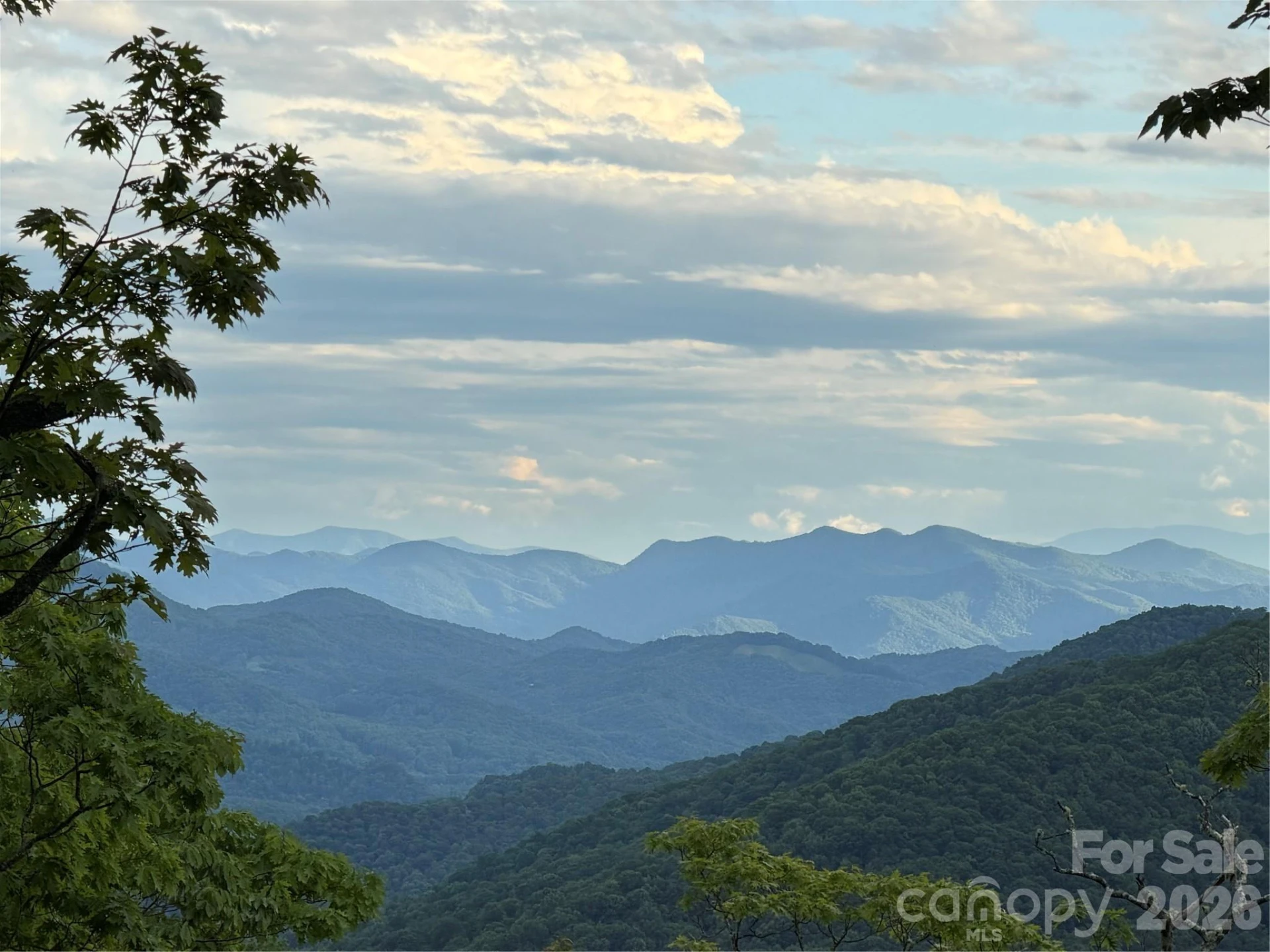 241 Ataya Trail - Photo 48