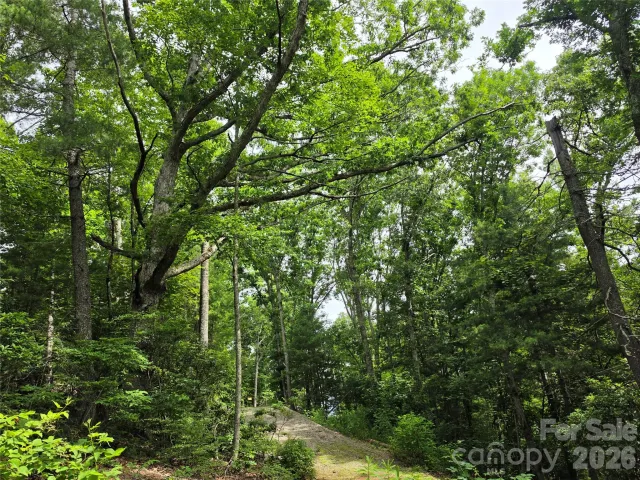9999 Fairview Forest Drive, Fairview, NC, 28730
