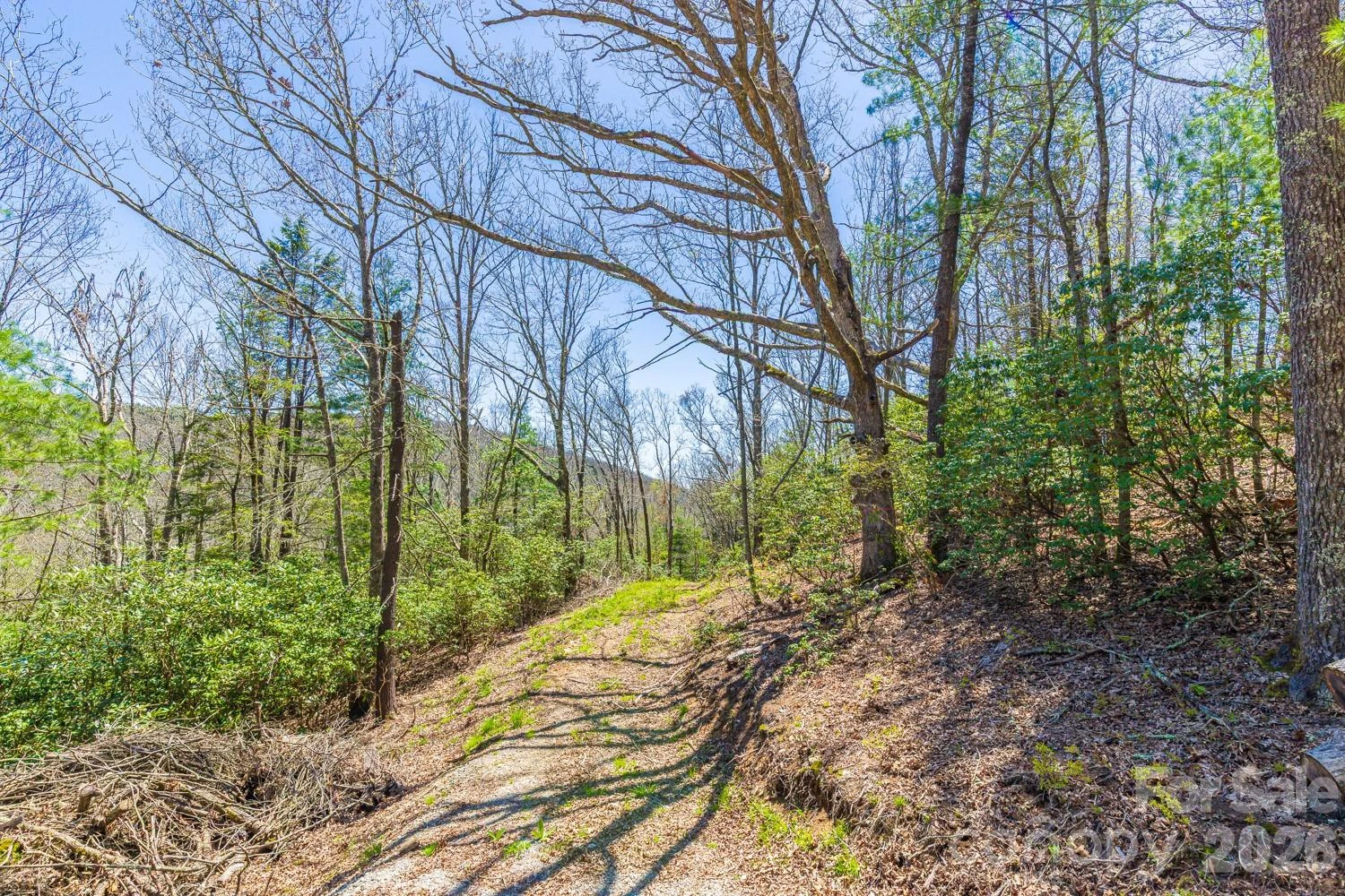 9999 Fairview Forest Drive - Photo 11