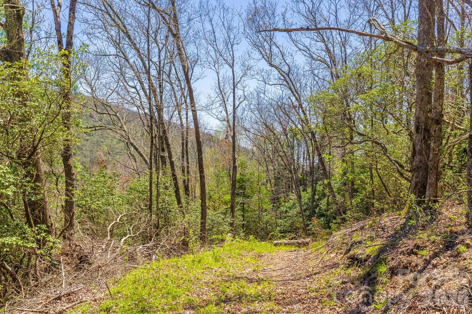 9999 Fairview Forest Drive - Photo 13