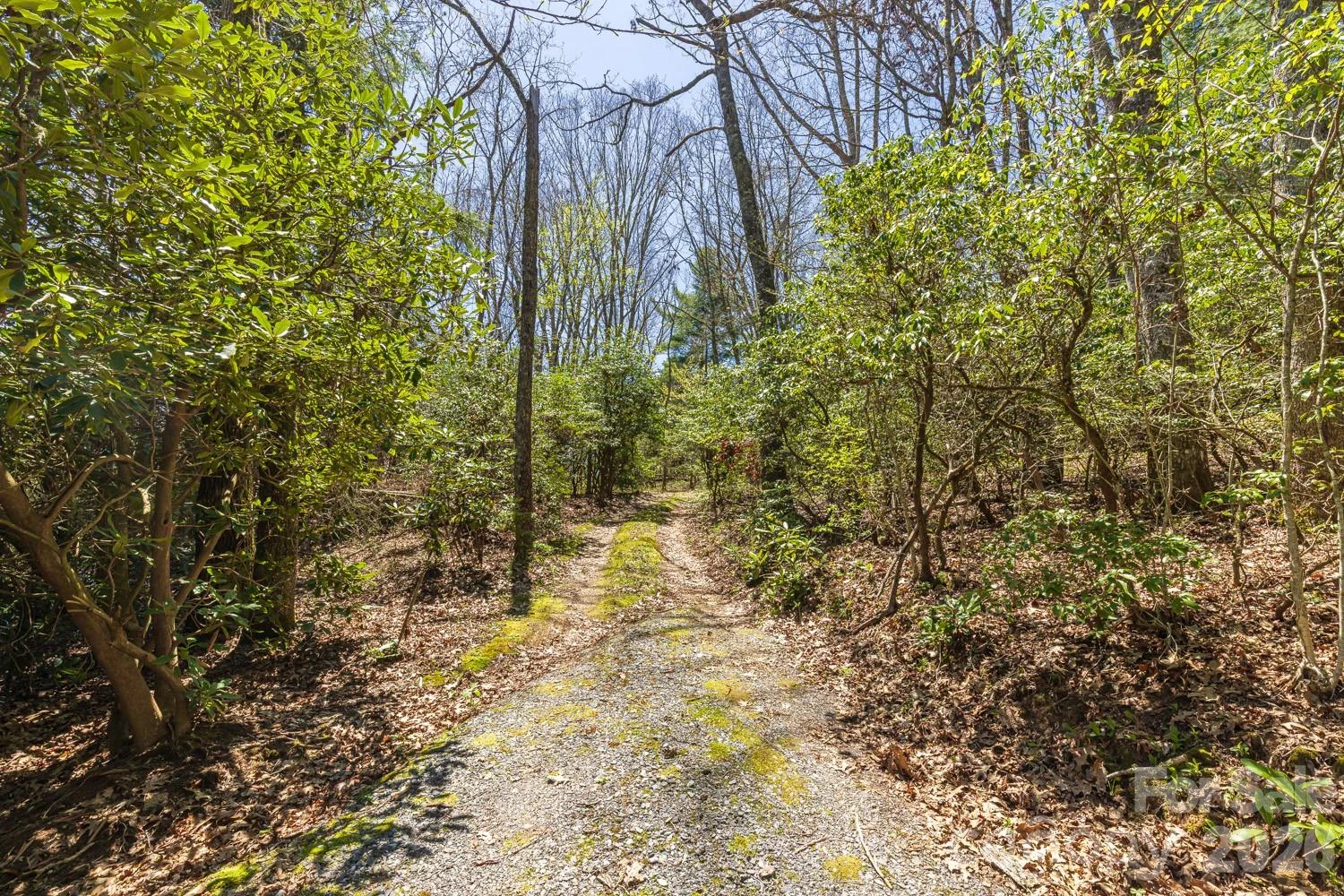 9999 Fairview Forest Drive - Photo 14