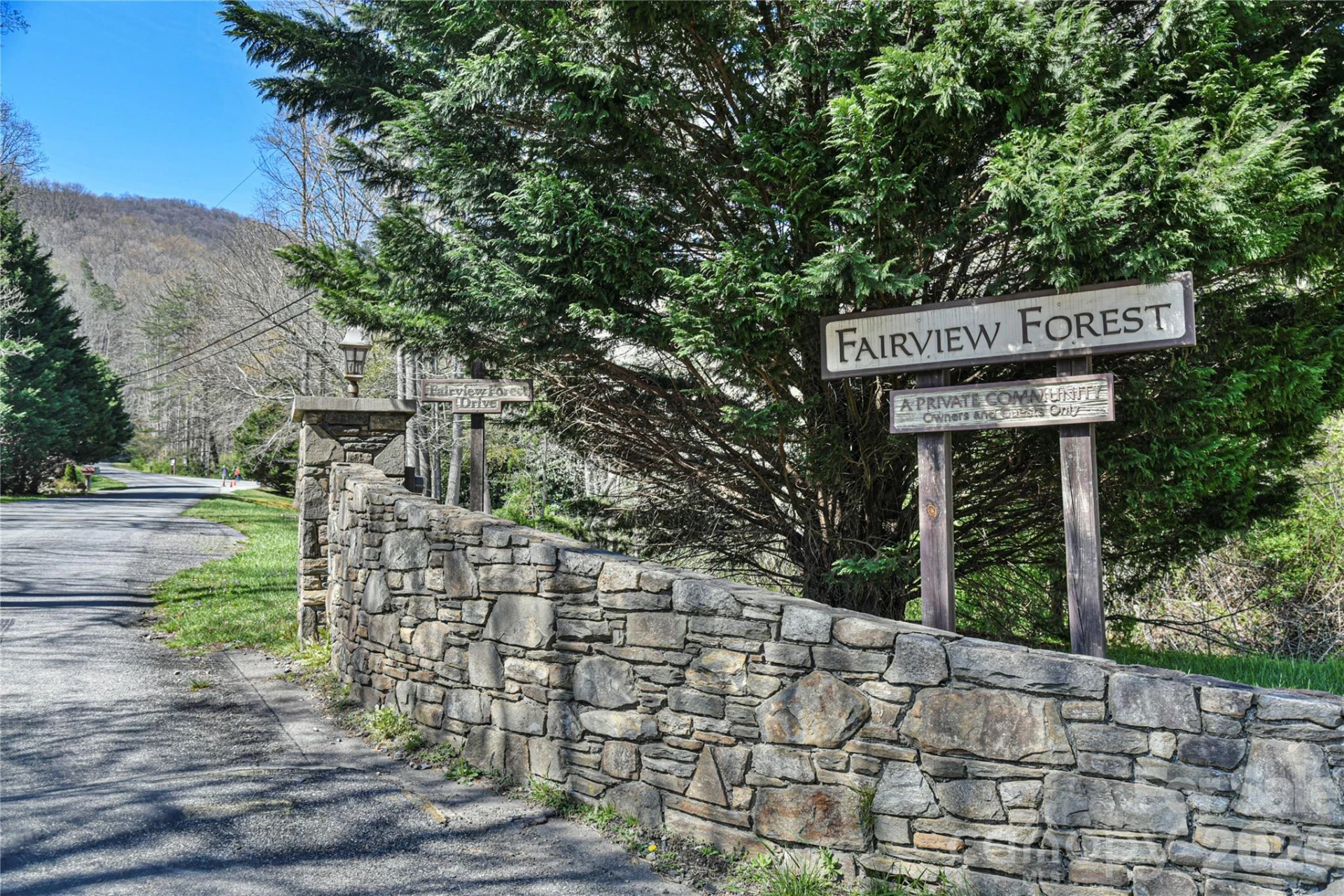9999 Fairview Forest Drive - Photo 3