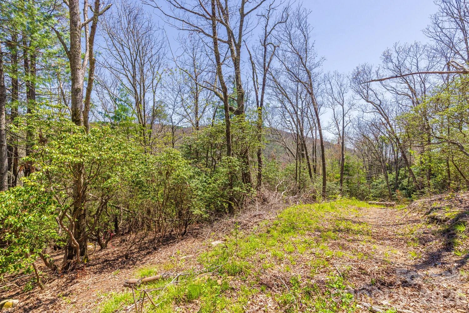 9999 Fairview Forest Drive - Photo 5